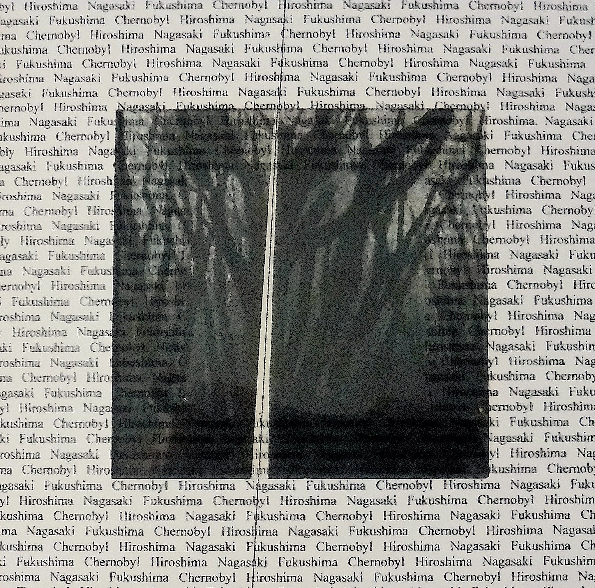 Charred Forest, 2024