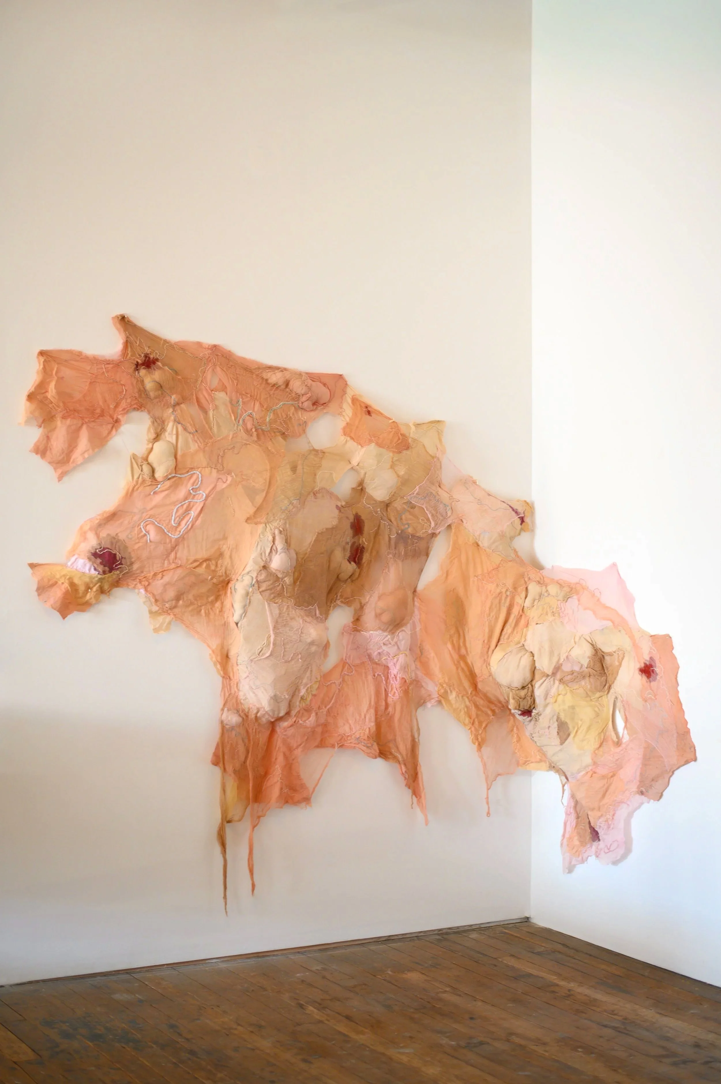a shame exposed; 

dyed cotton, cheesecloth, cotton mesh, polyester threads, acrylic ink, foam, and natural fiber yarns on chicken wire; 

125 in x 71 in x varied depth; 

2025