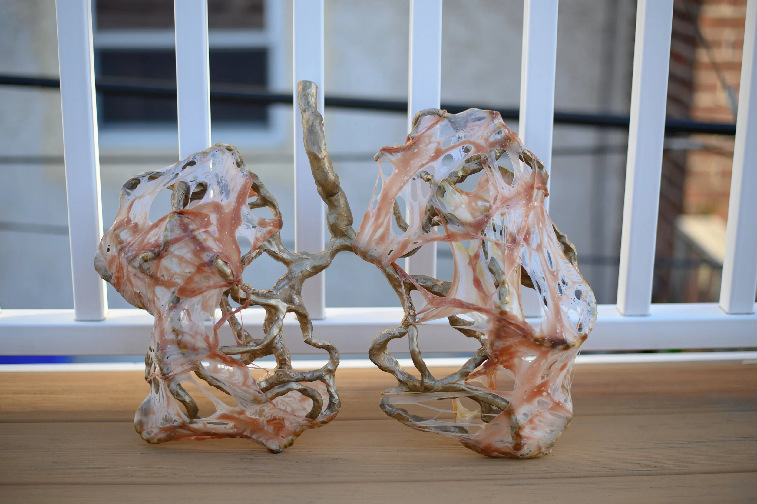 these lungs are heavy and hollow;

patinated cast bronze and latex;

19 x 16 x 4;

2026