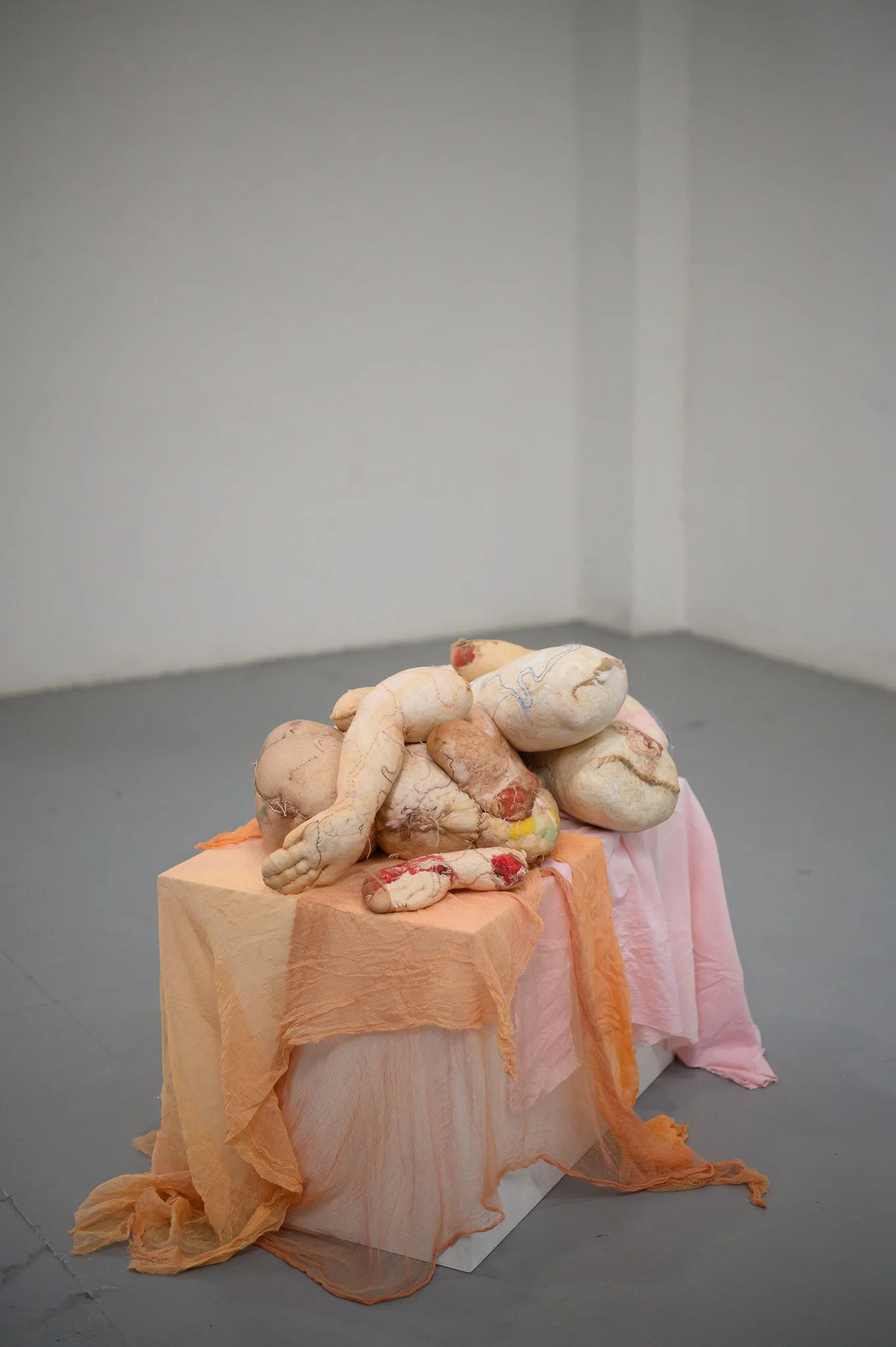 in the absence of companionship

pantyhose, cotton waste, polyester thread, natural fiber yarn, and foam

various dimensions

2025