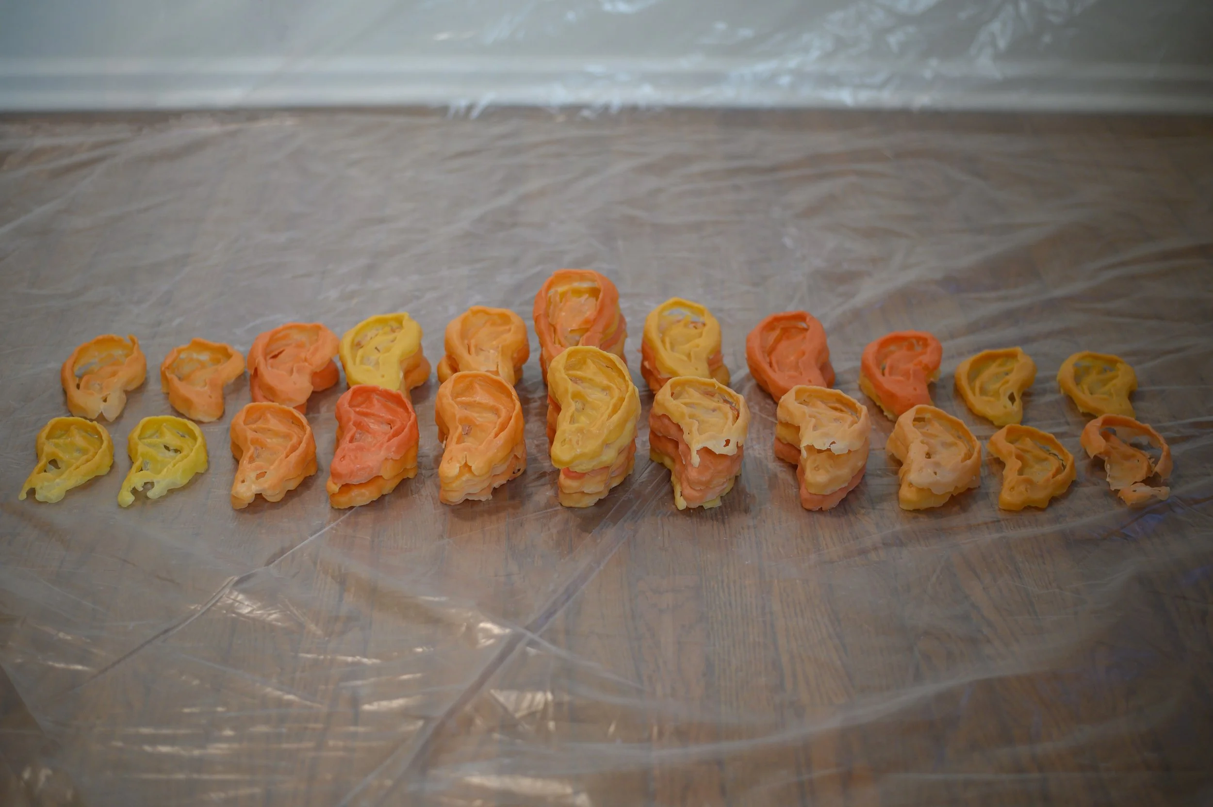 preventative collection;

beeswax and wax pigment;

44 x 12 x 5 in, each ear 5.5 x 3 in;

2026