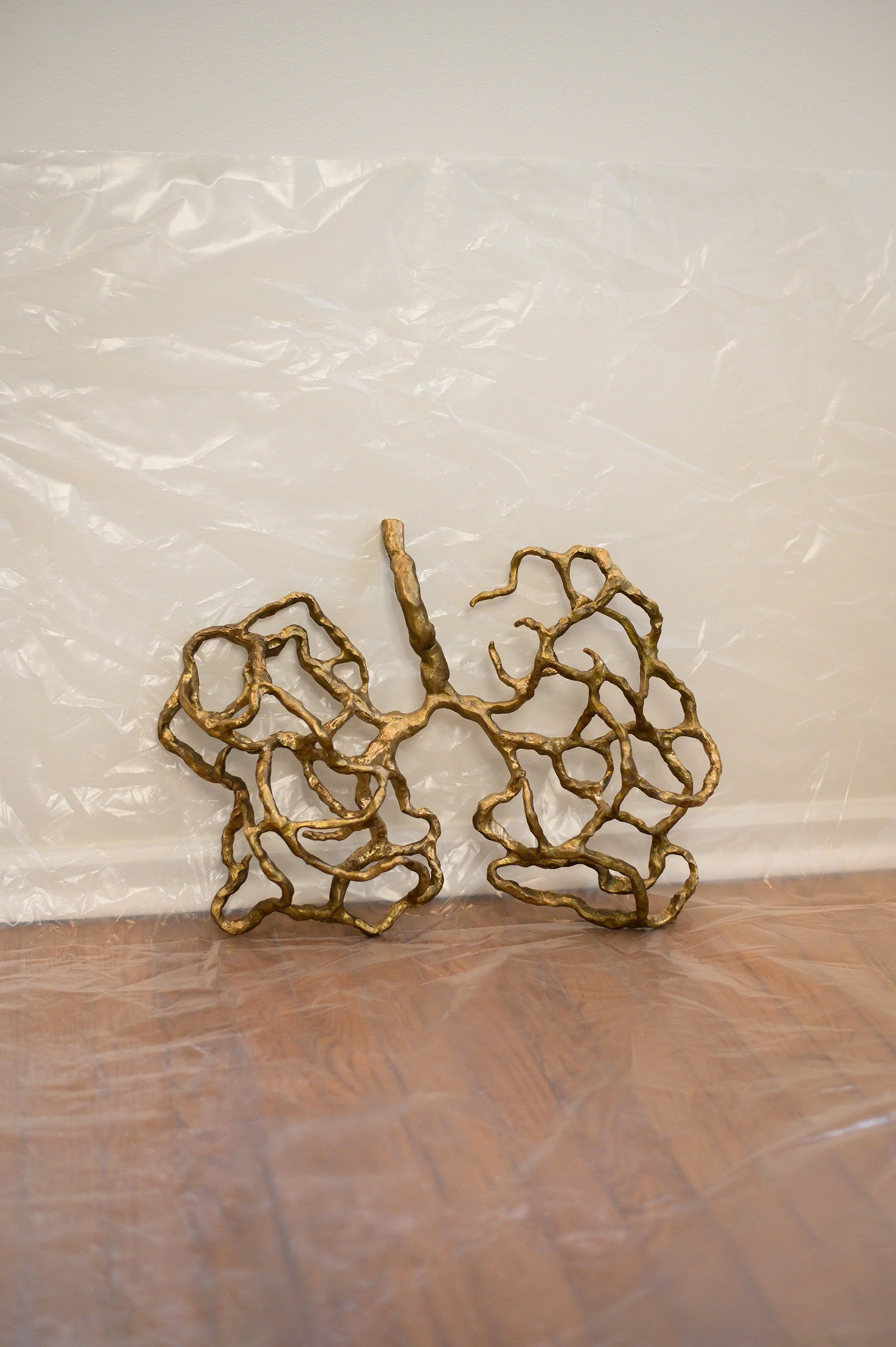 these lungs are heavy and hollow

patinated cast bronze

19 x 16 x 4

in process