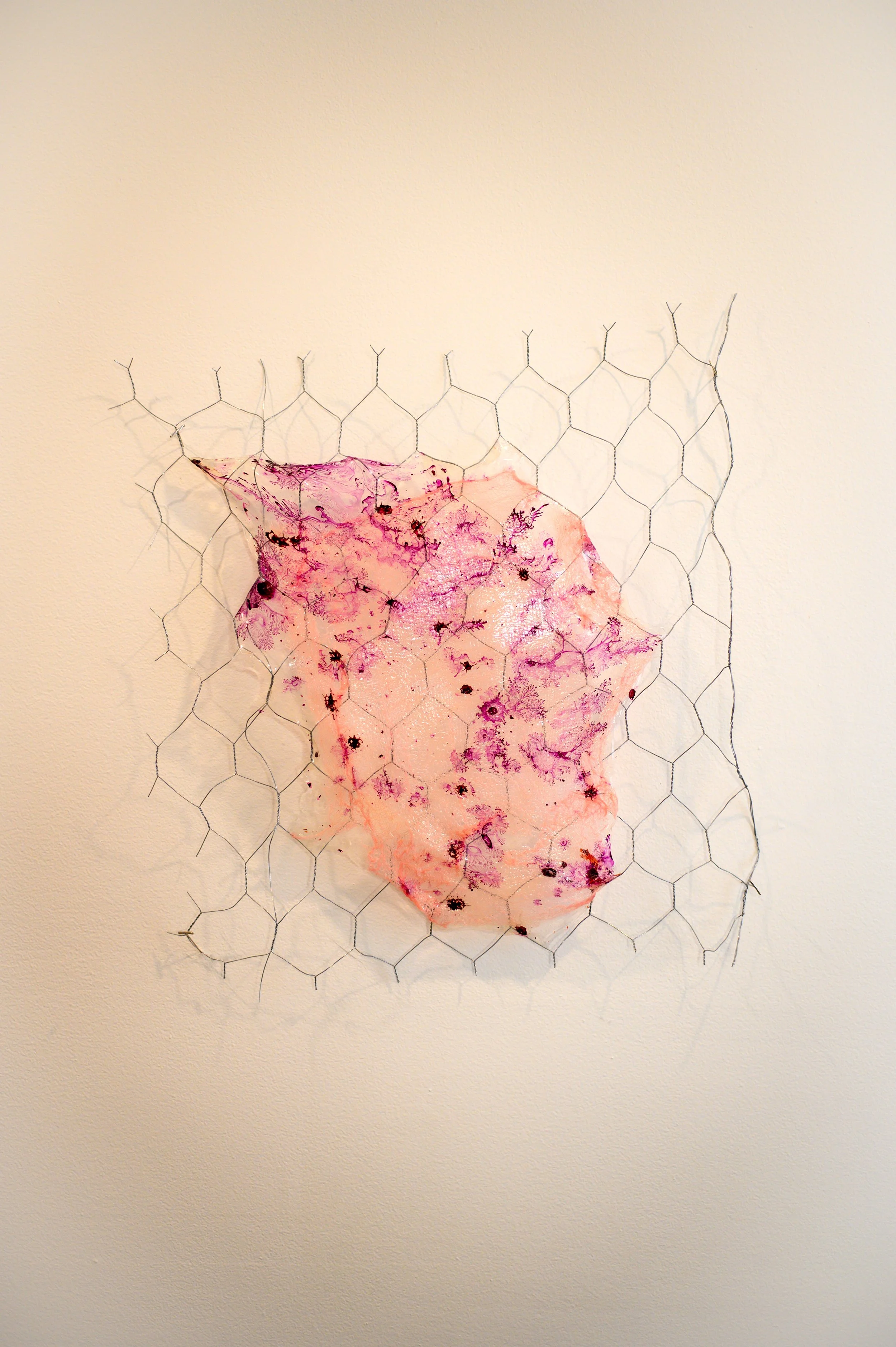 glue experiment 1; 

glue, acrylic ink, fabric dye, dyed cheesecloth, and chicken wire; 

17 x 19; 

2025