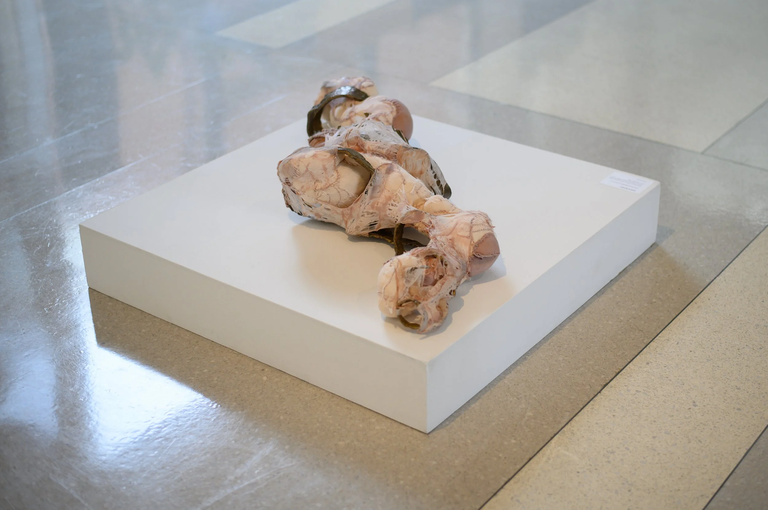 my intestines, as displayed;

patinated cast bronze, avocado-dyed cotton, cotton waste, latex, cheese cloth, and mohair;

48 x 13 x 7;

2026