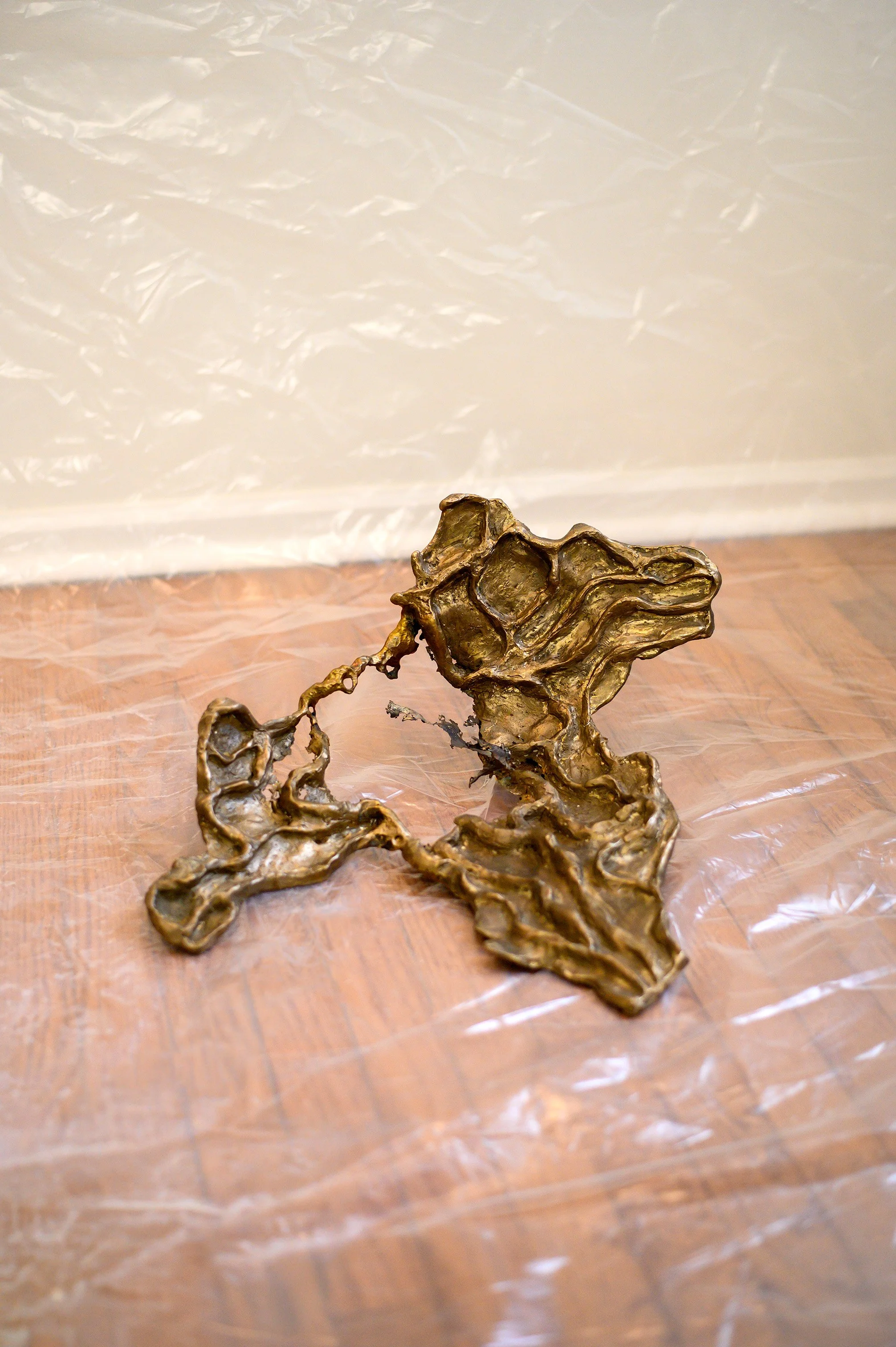 the consequences of my acid

patinated cast bronze

21 x 18 x 7

in process