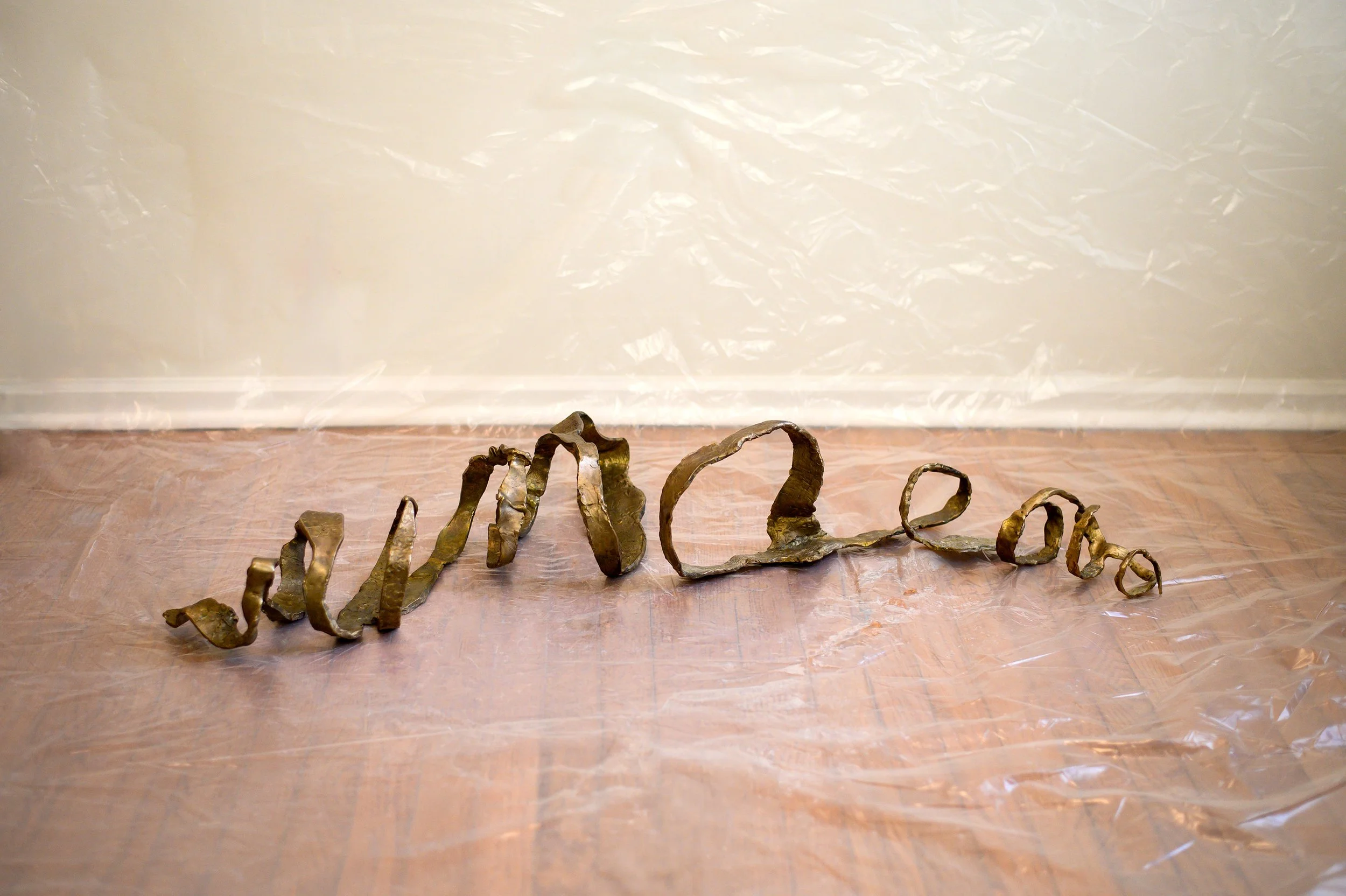 my intestines, as displayed

patinated cast bronze

48 x 13 x 7

in process