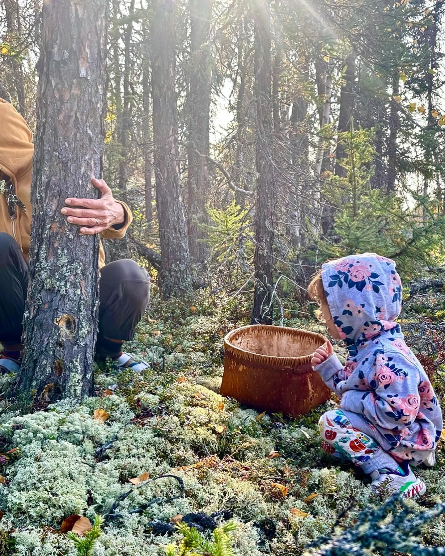 What an abundant year for wild cranberries. This little granddaughter is only two and was a pro picker on her first go. How lucky I am to spend this time in nature with her. My trusty basket is from Winnie’s store (RIP) in Enterprise many years