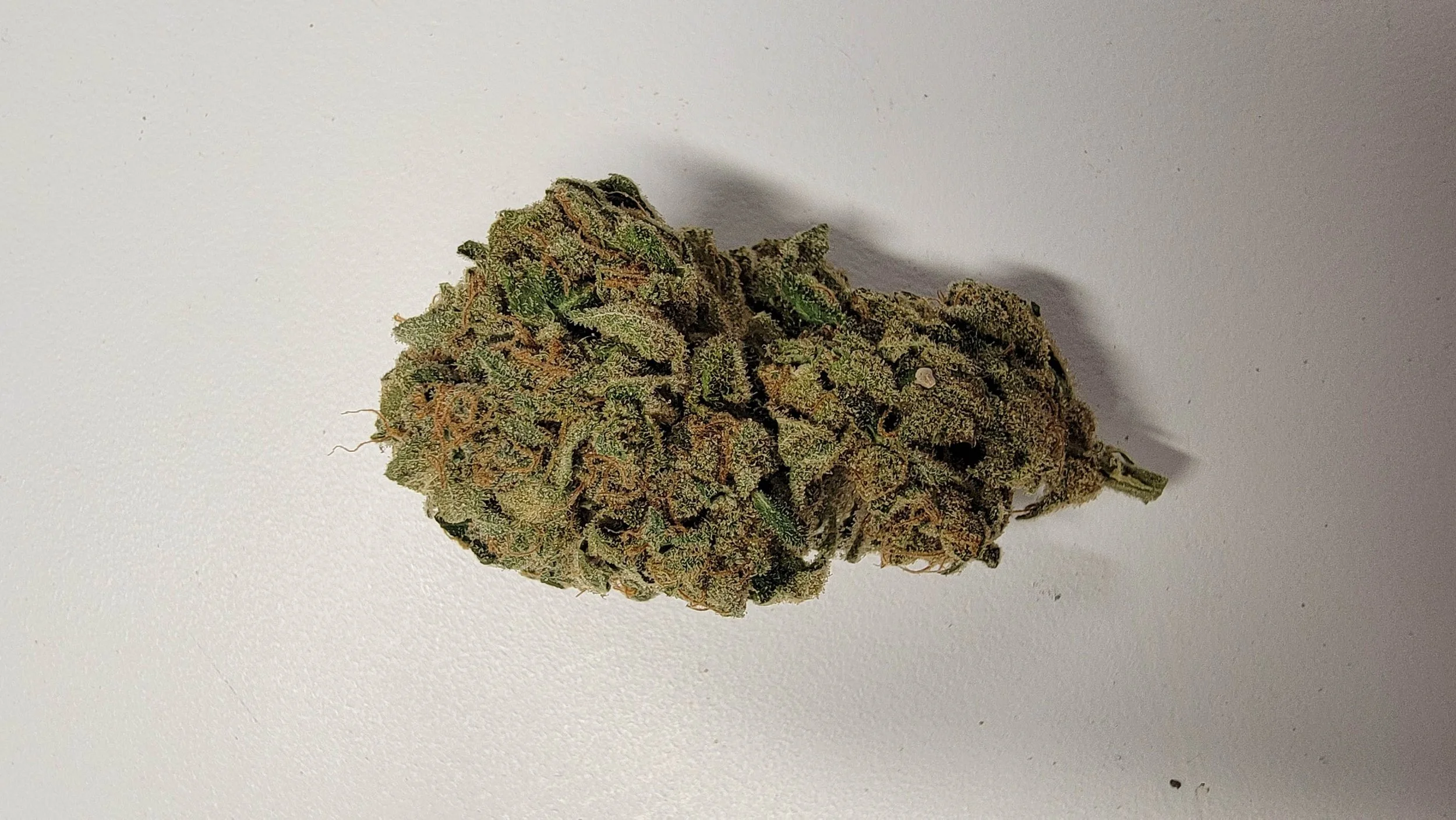Red Dog strain cured nug, Lucky Dog original Lebanese Skunk cross, Bozeman MT dispensary