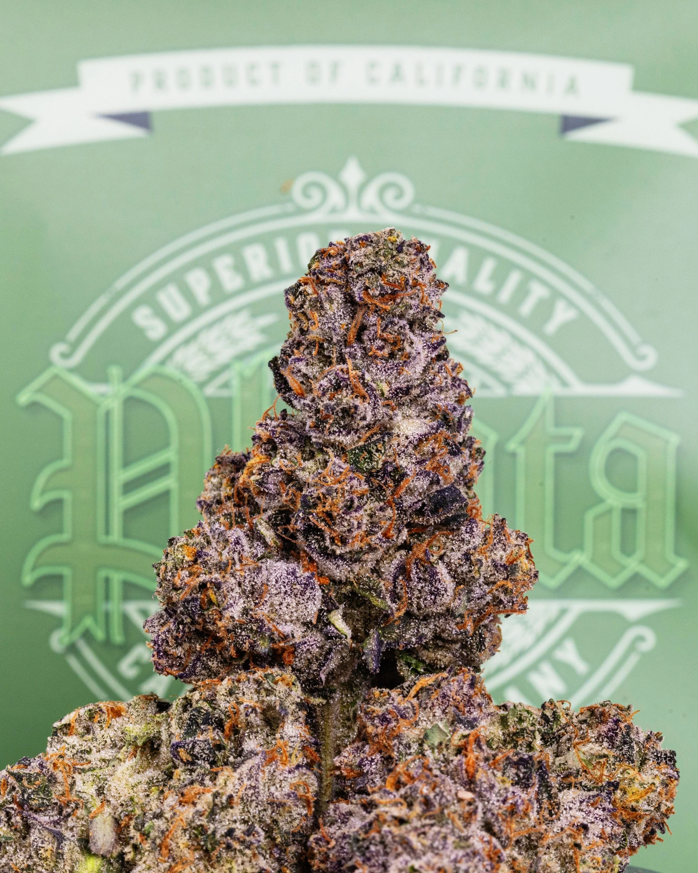 Biscotti Strain Allbud - 5y0qdqw