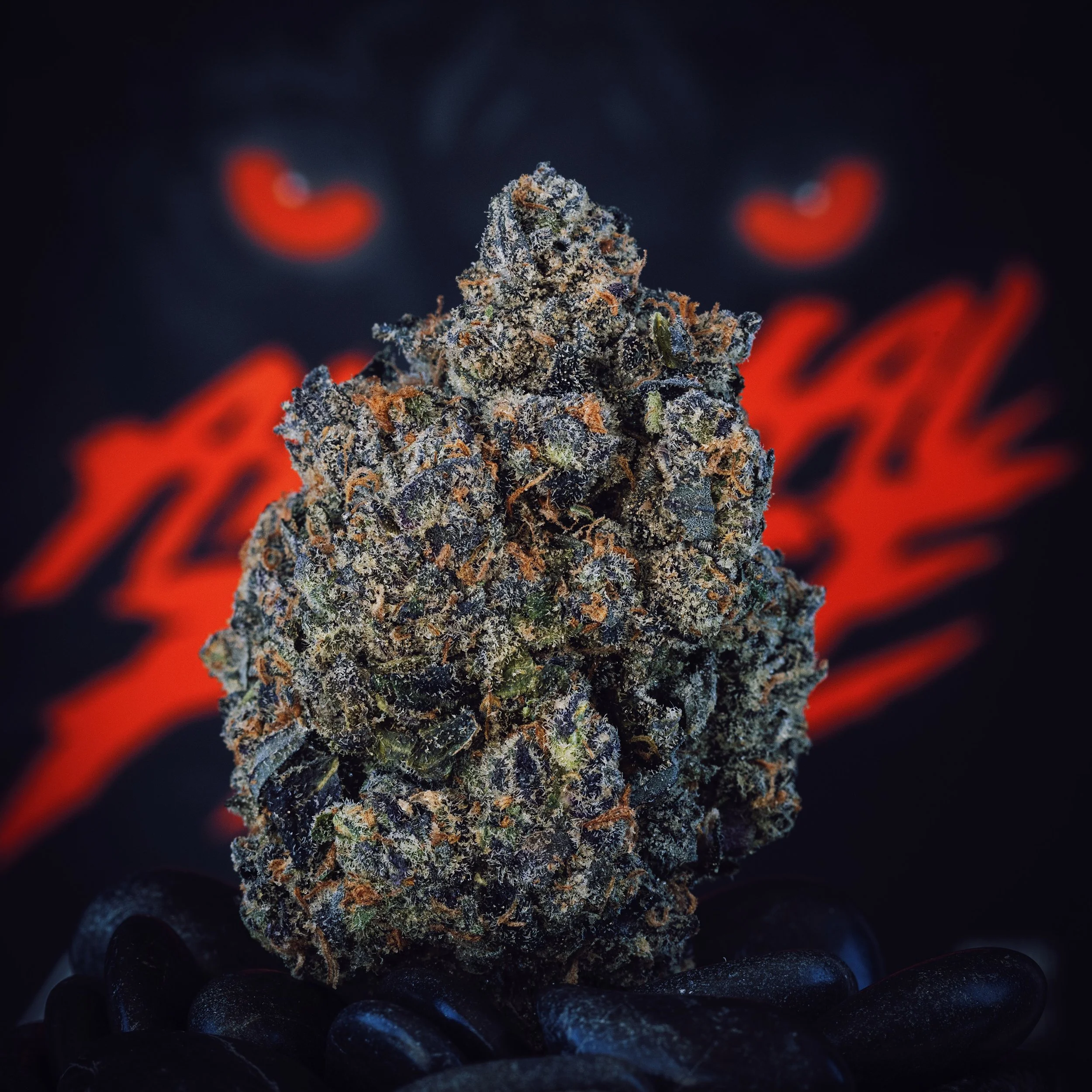 ANIMAL FACE STRAIN OVERVIEW — High Rise TV