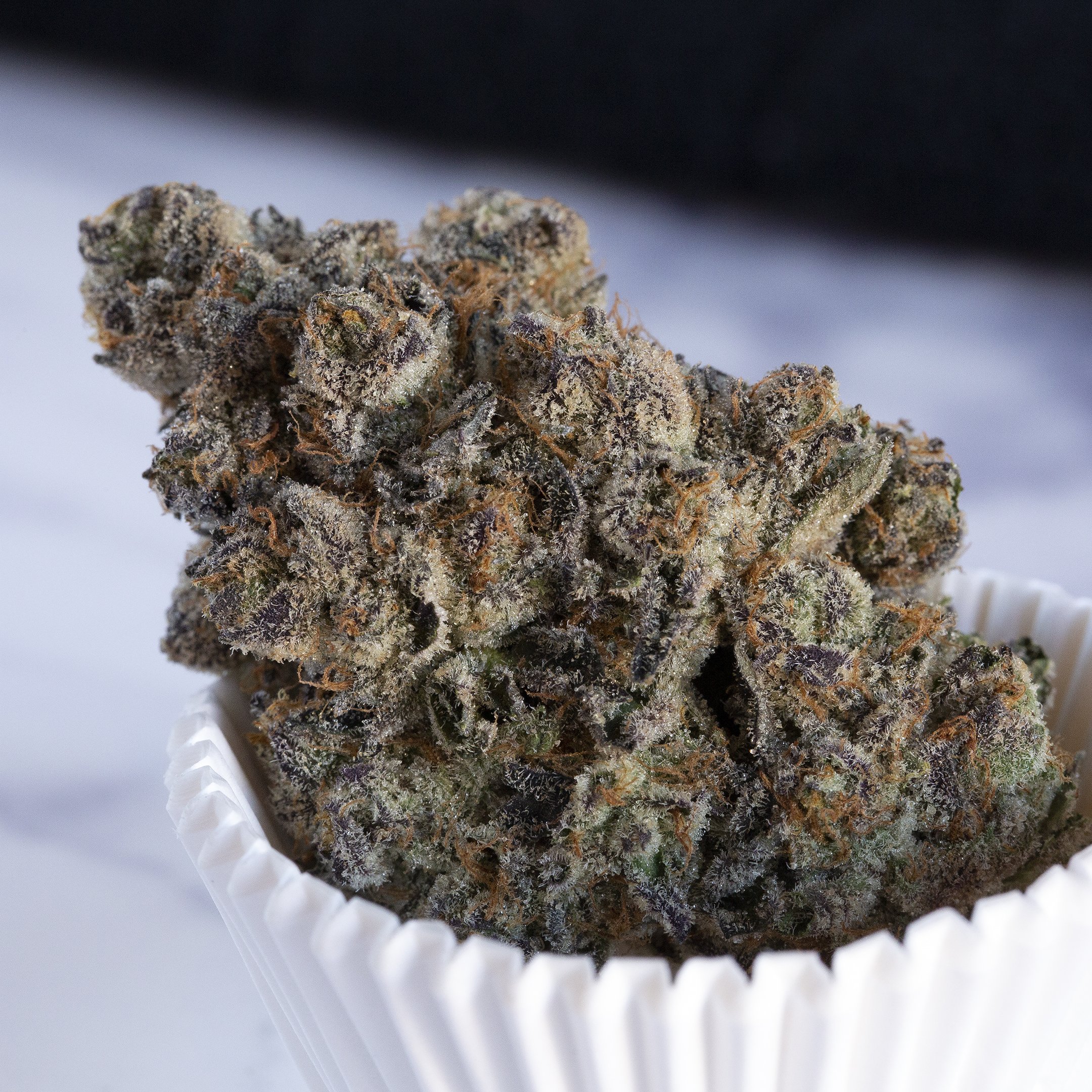 Cherry Fritter Weed Strain 