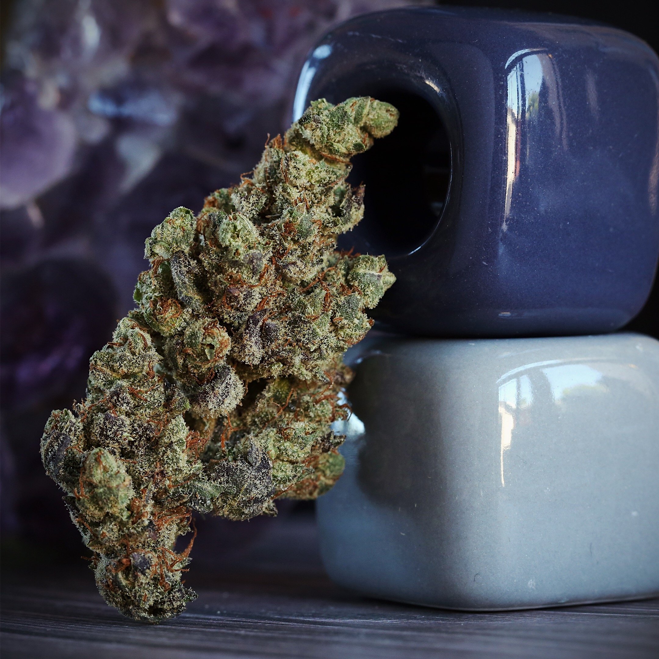 GMO Crasher Weed Strain Overview — High Rise TV