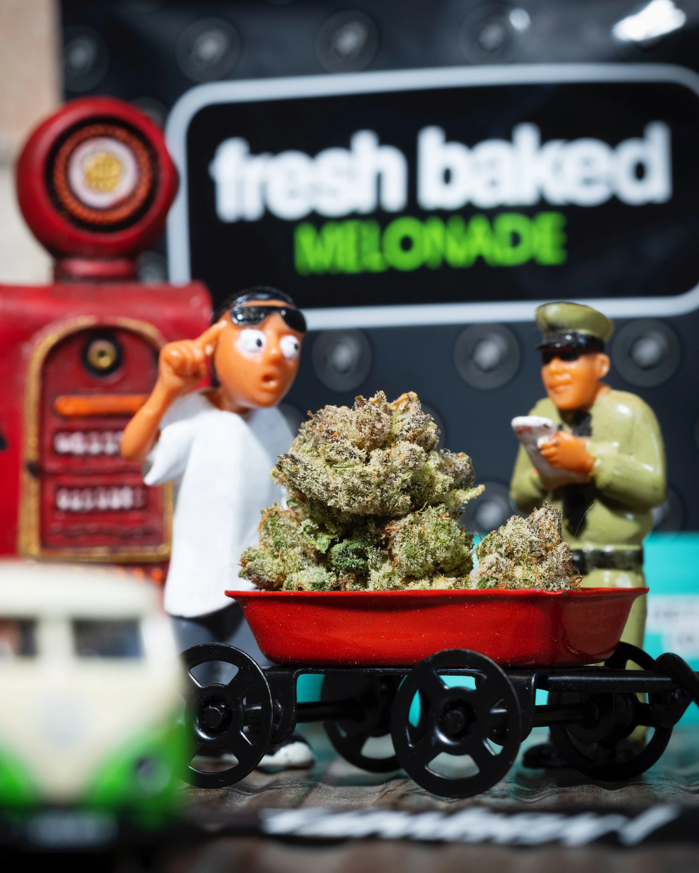 Melonade Weed Strain Overview by Alien Labs — High Rise TV