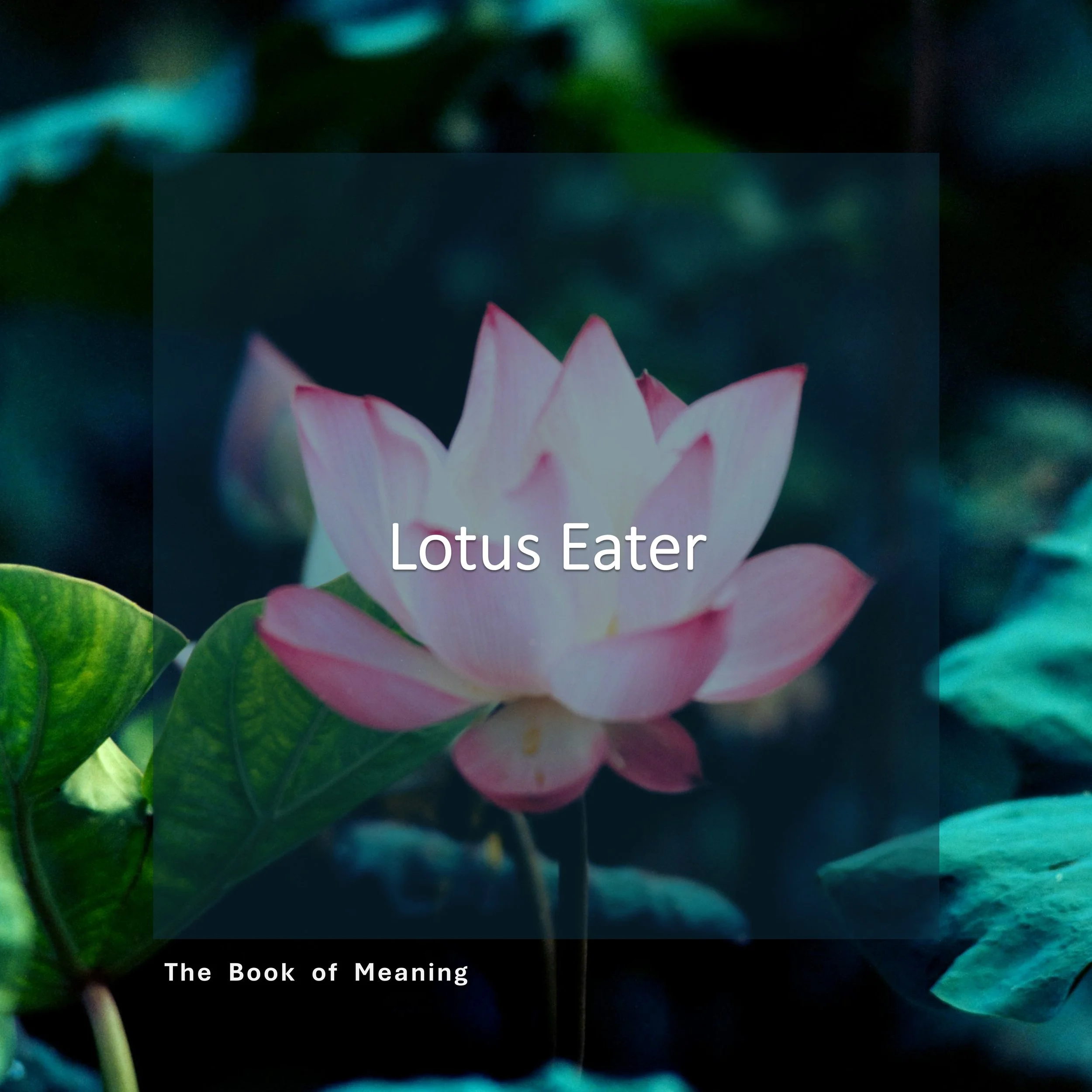 Lotus Eater