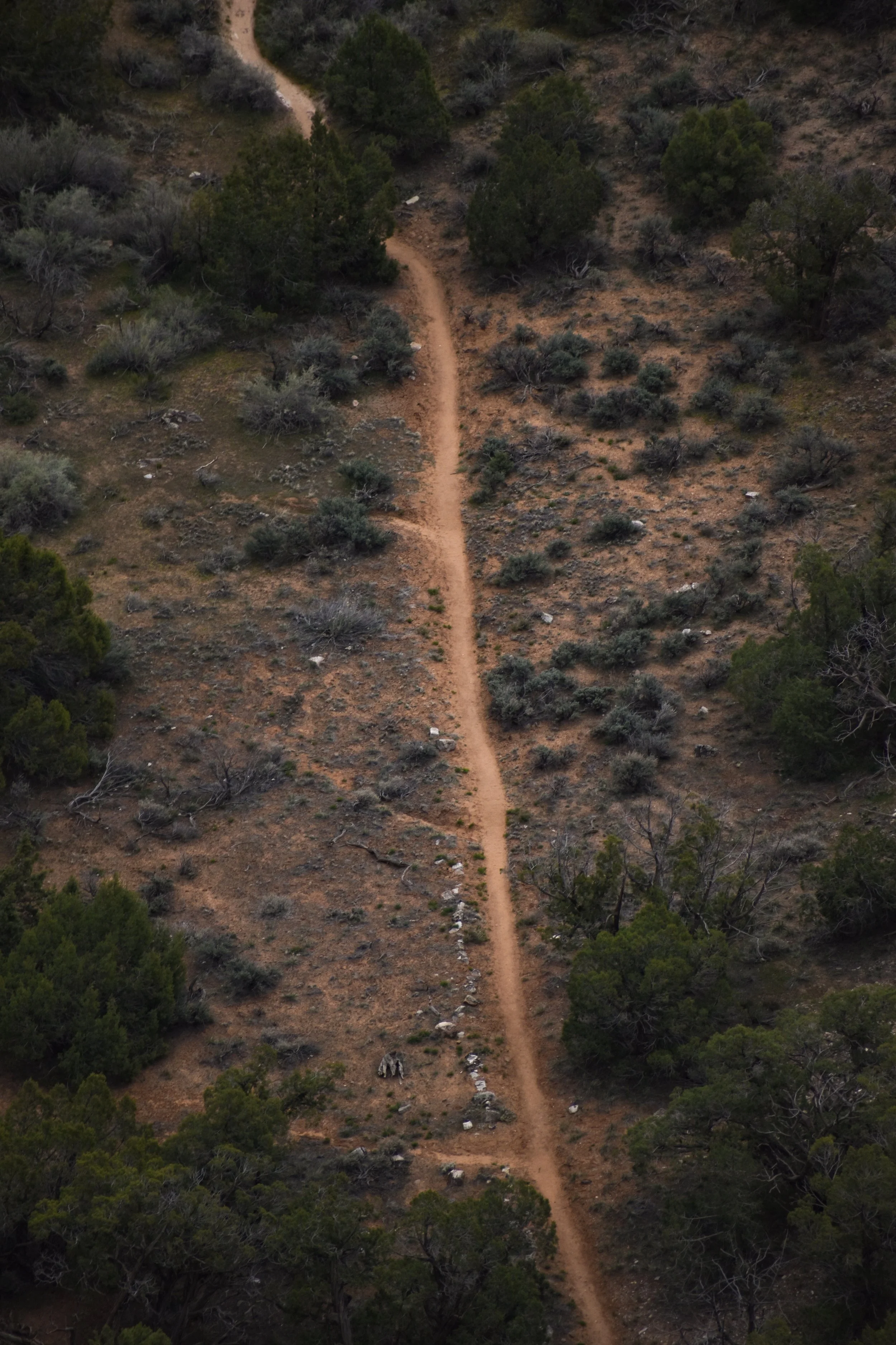 DSC_0216.jpg