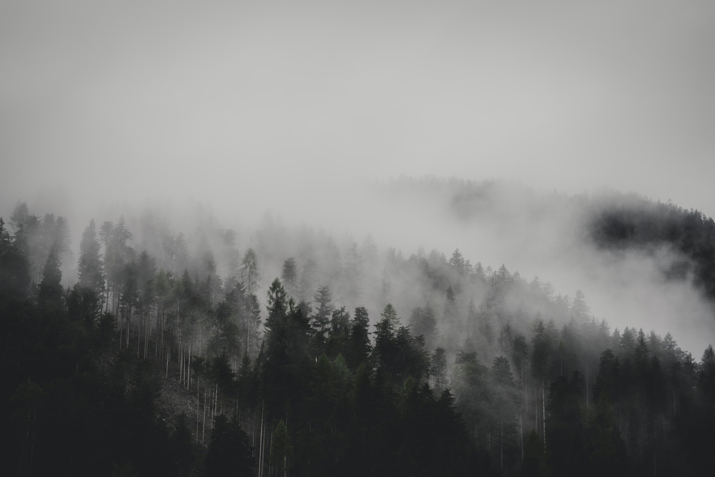 unsplash-image-eBE1aQet0nw.jpg