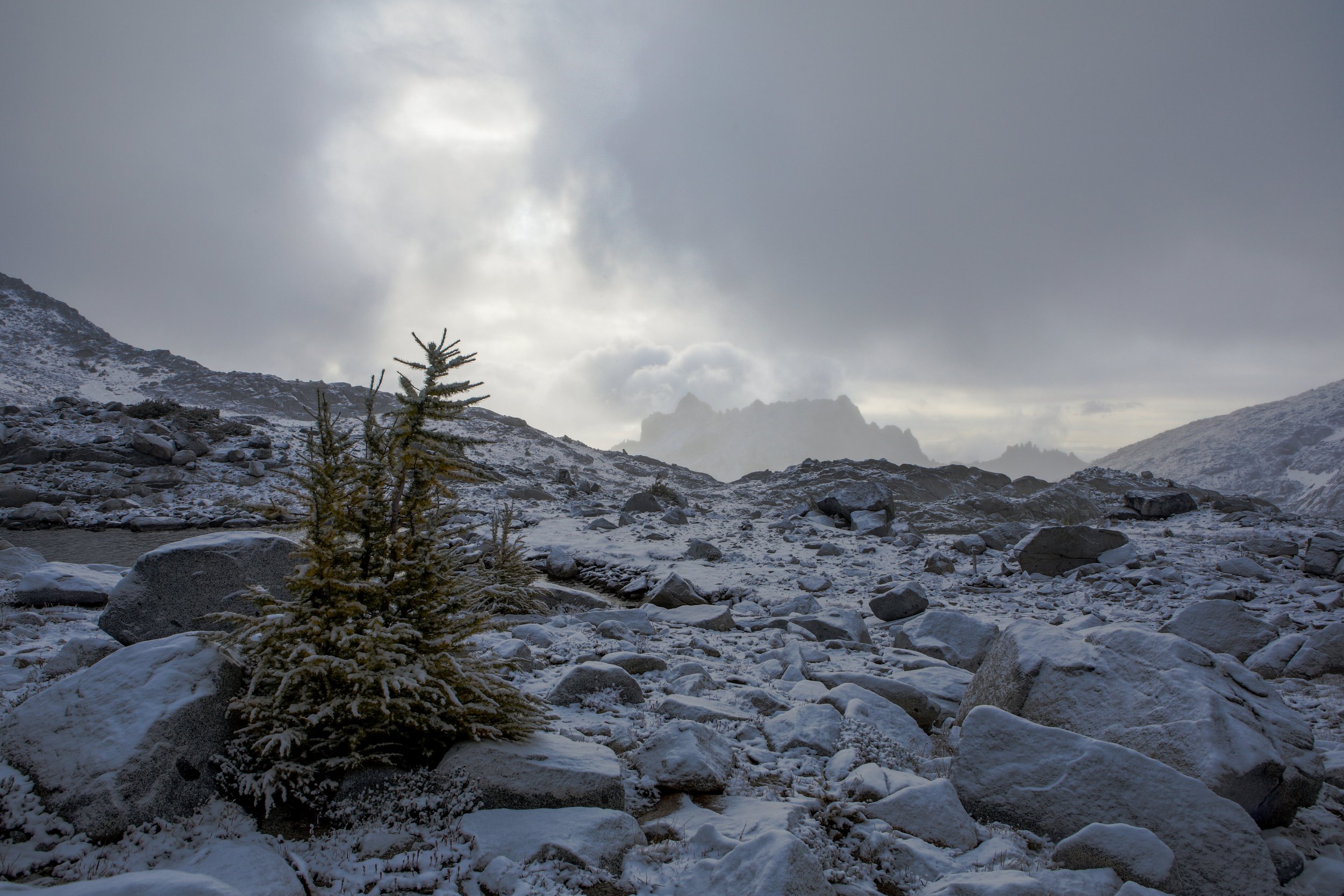 2X4A9885-HDR.jpg