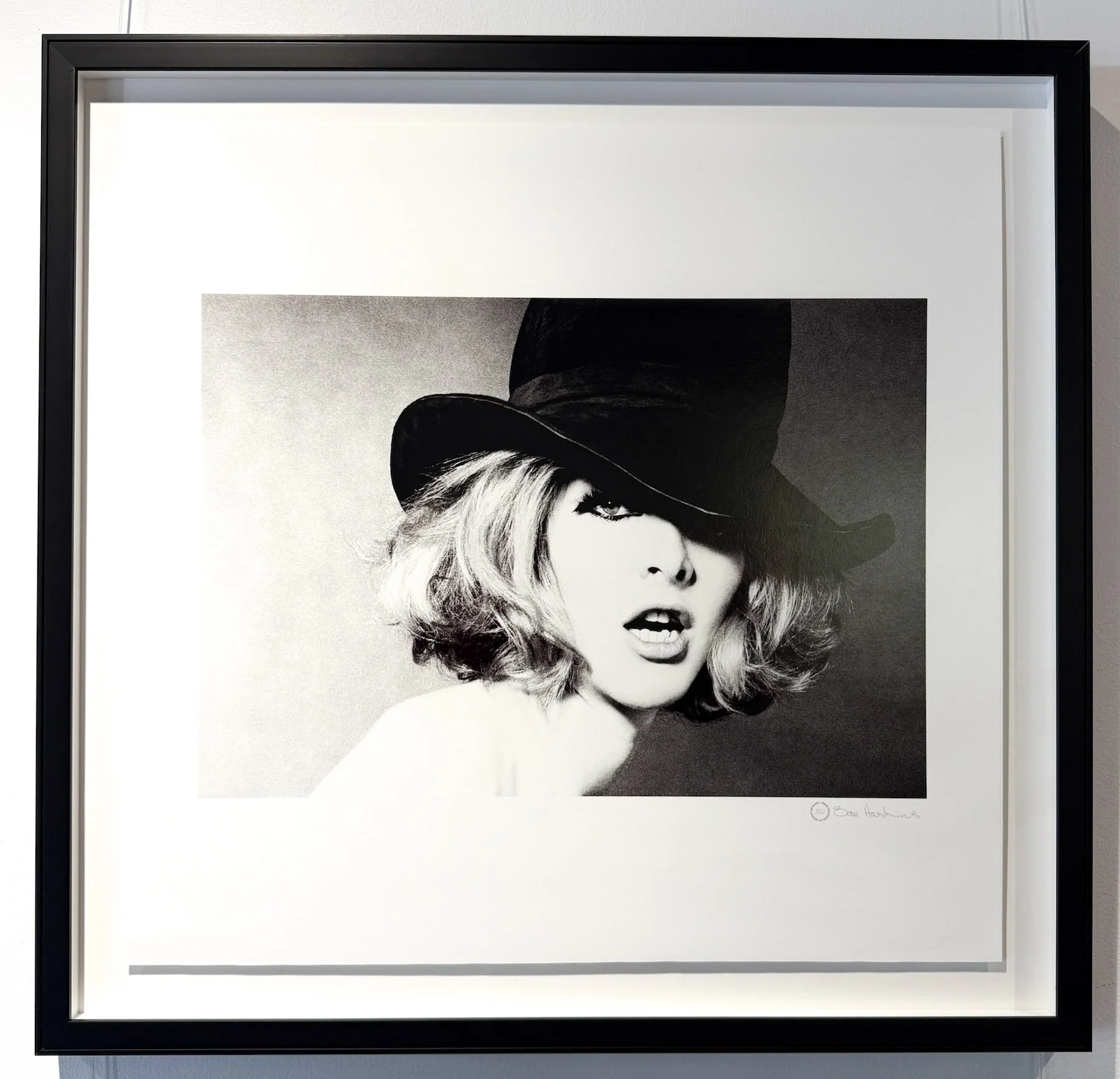 Sam Haskins - 700 x 720mm - $2900 (6)