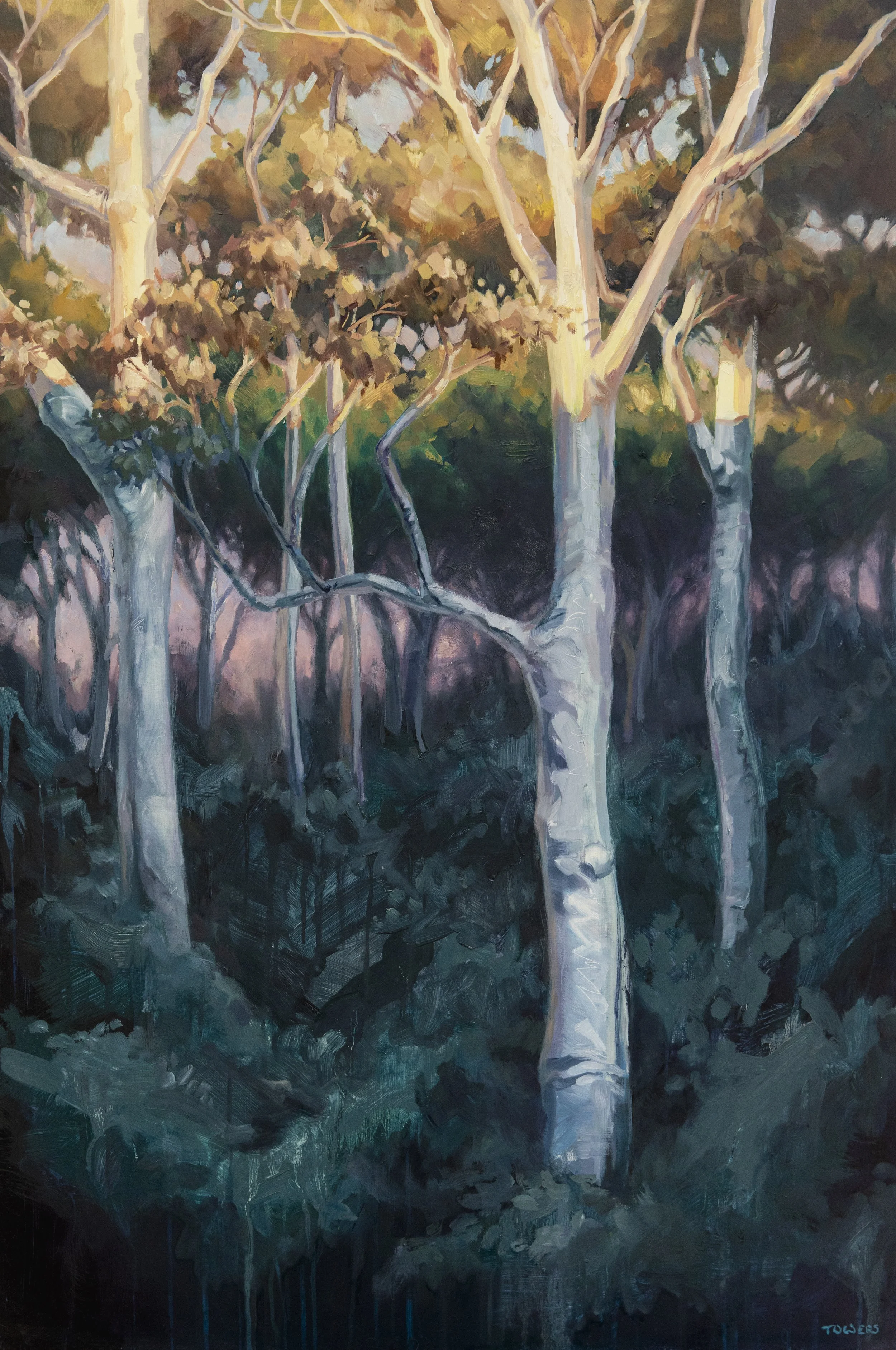 Last Light - 
2024 - 
Oil on Board - 
93cm x 63cm Framed - 
$1750