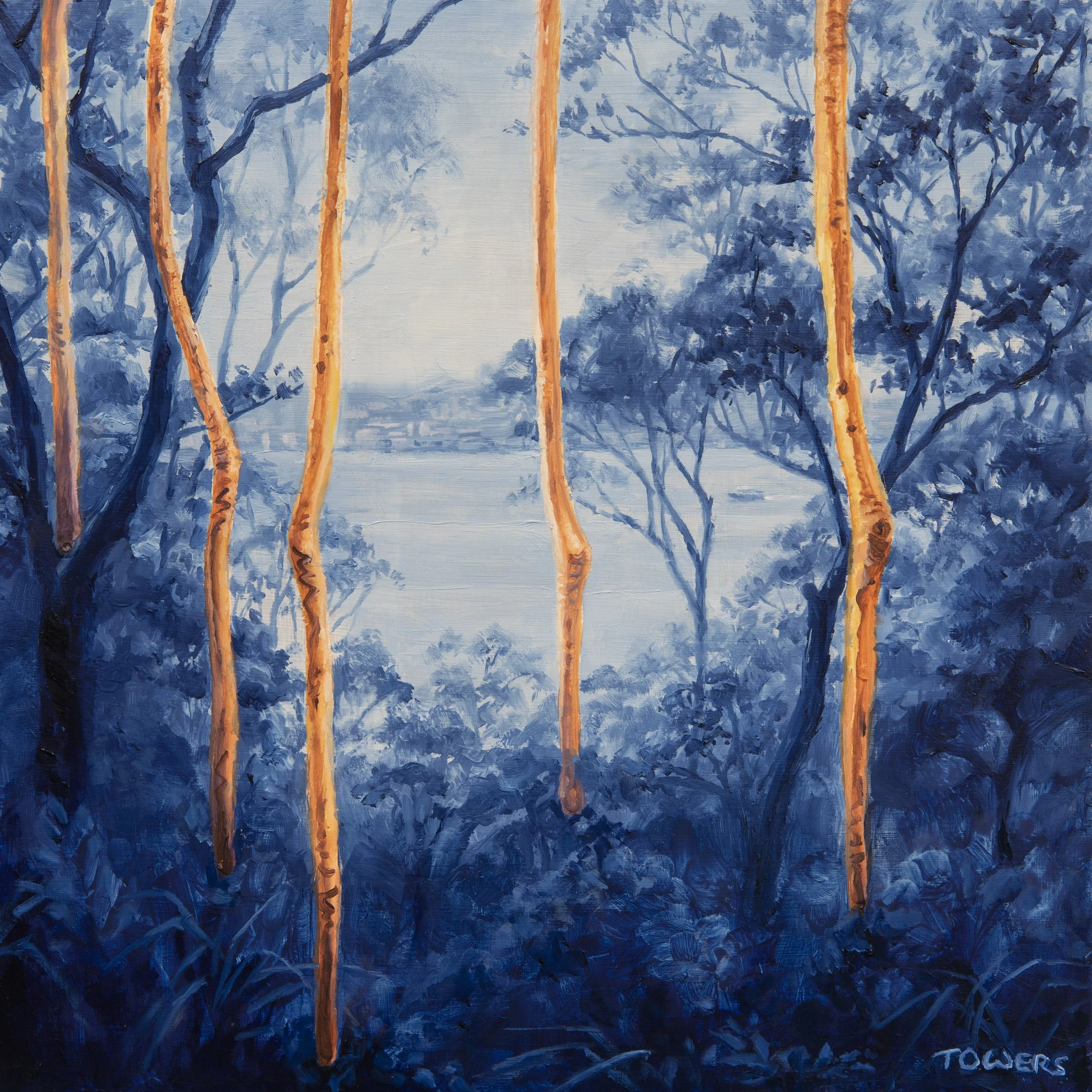 Red Gum Habitat Study (View To
Vaucluse, NSW) - 
2024 - 
Oil on Board - 
29.5cm x 29.5cm Framed - 
SOLD