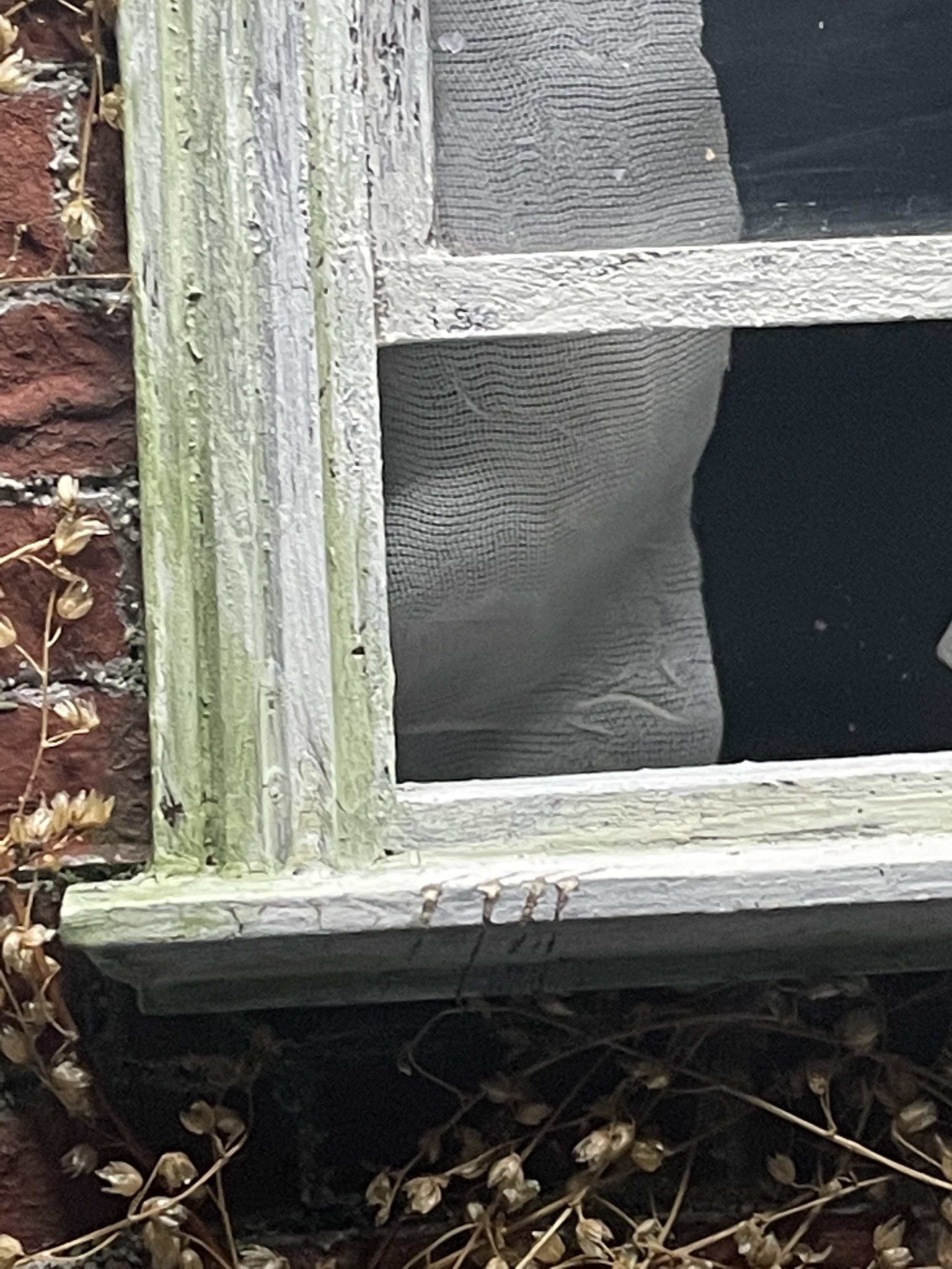 Detail of The Watcher (sold)