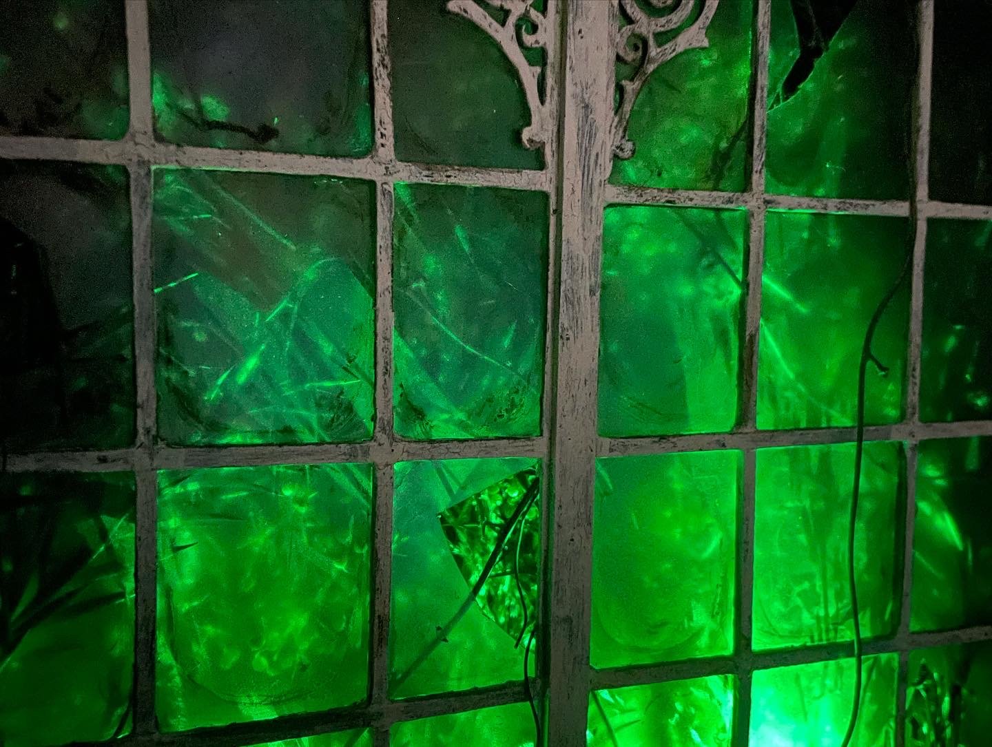 Detail of Wicked Weeds (Sold)