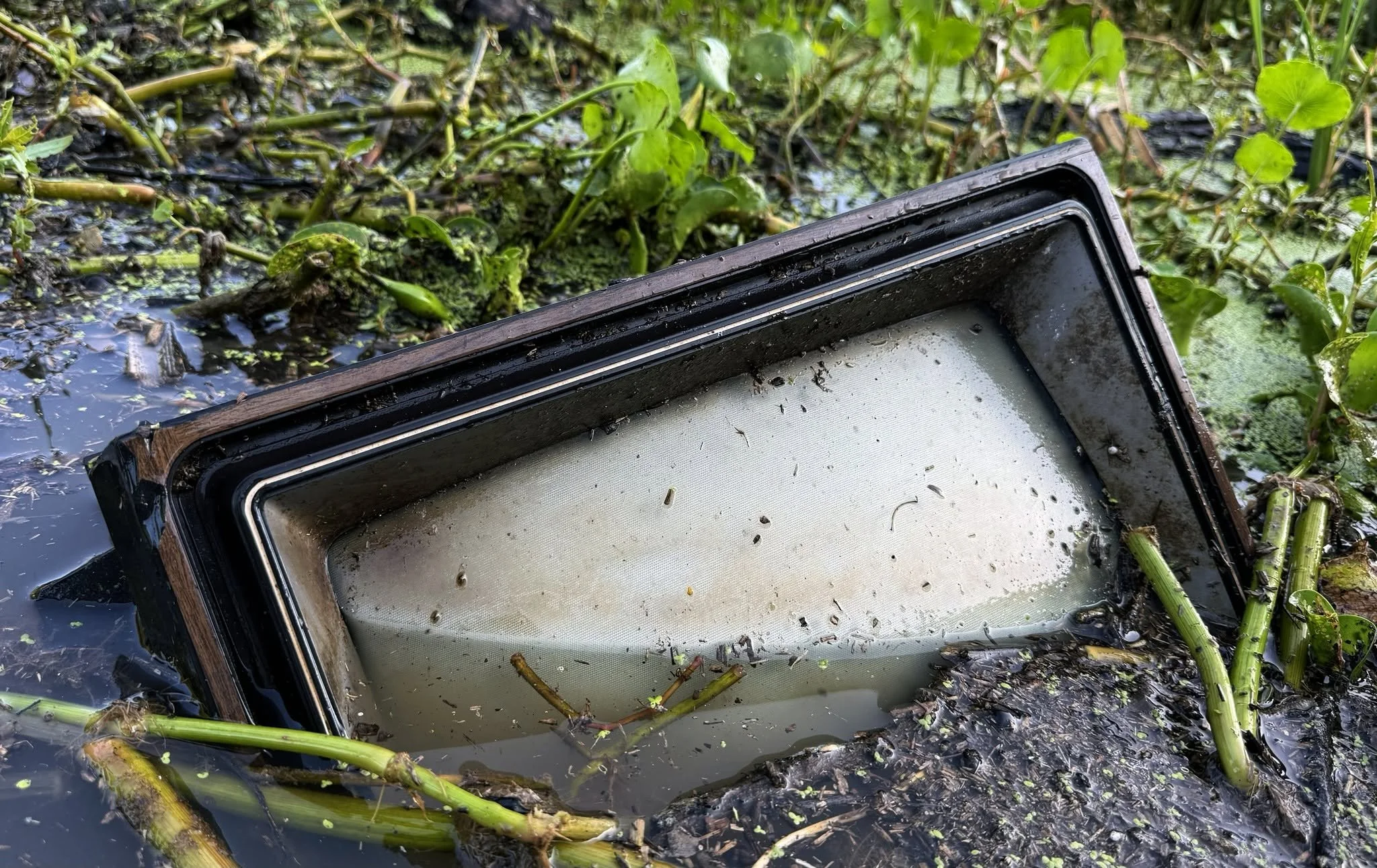 The TV in the Bayou