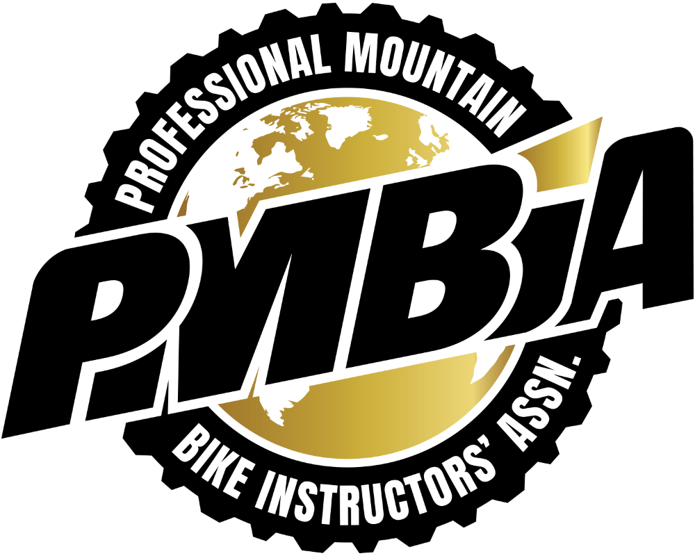 PMBIA gold logo sml.png