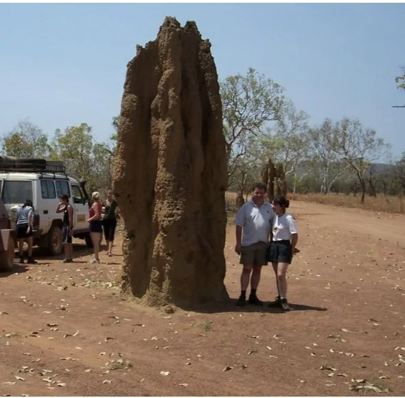 Lessons from termites - focus on building the long-term health and prosperity of your organisation or community