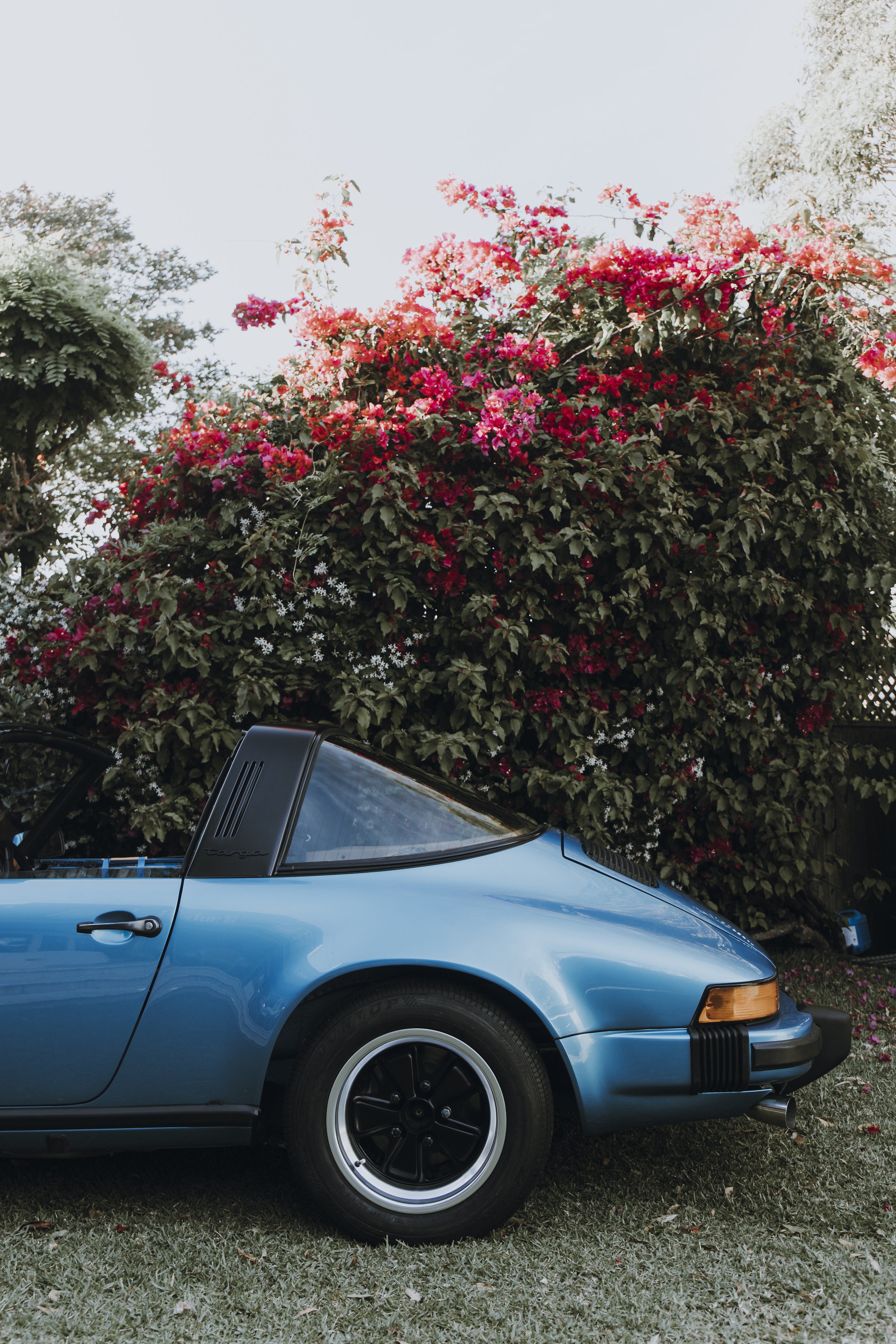 Targa-0381.jpg