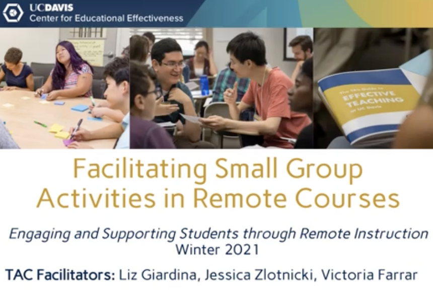 Facilitating Small Group Activities in Remote Courses