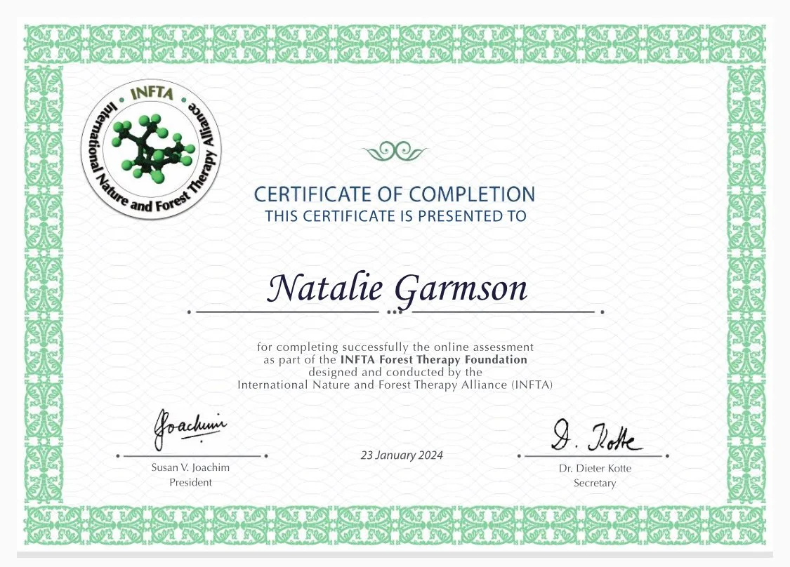 INFTA Cert.jpg