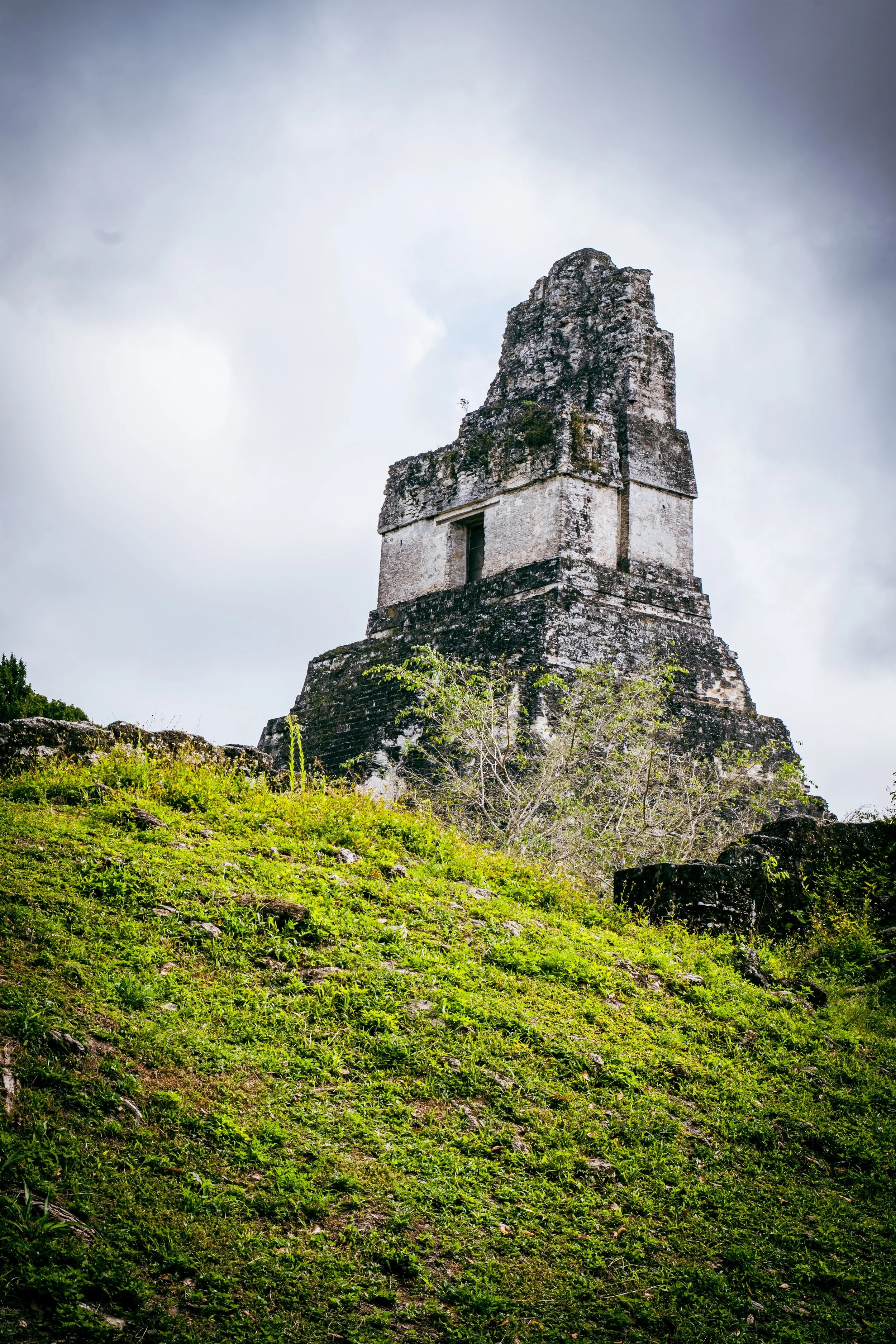 01 - P1004041 LIGHT.jpeg