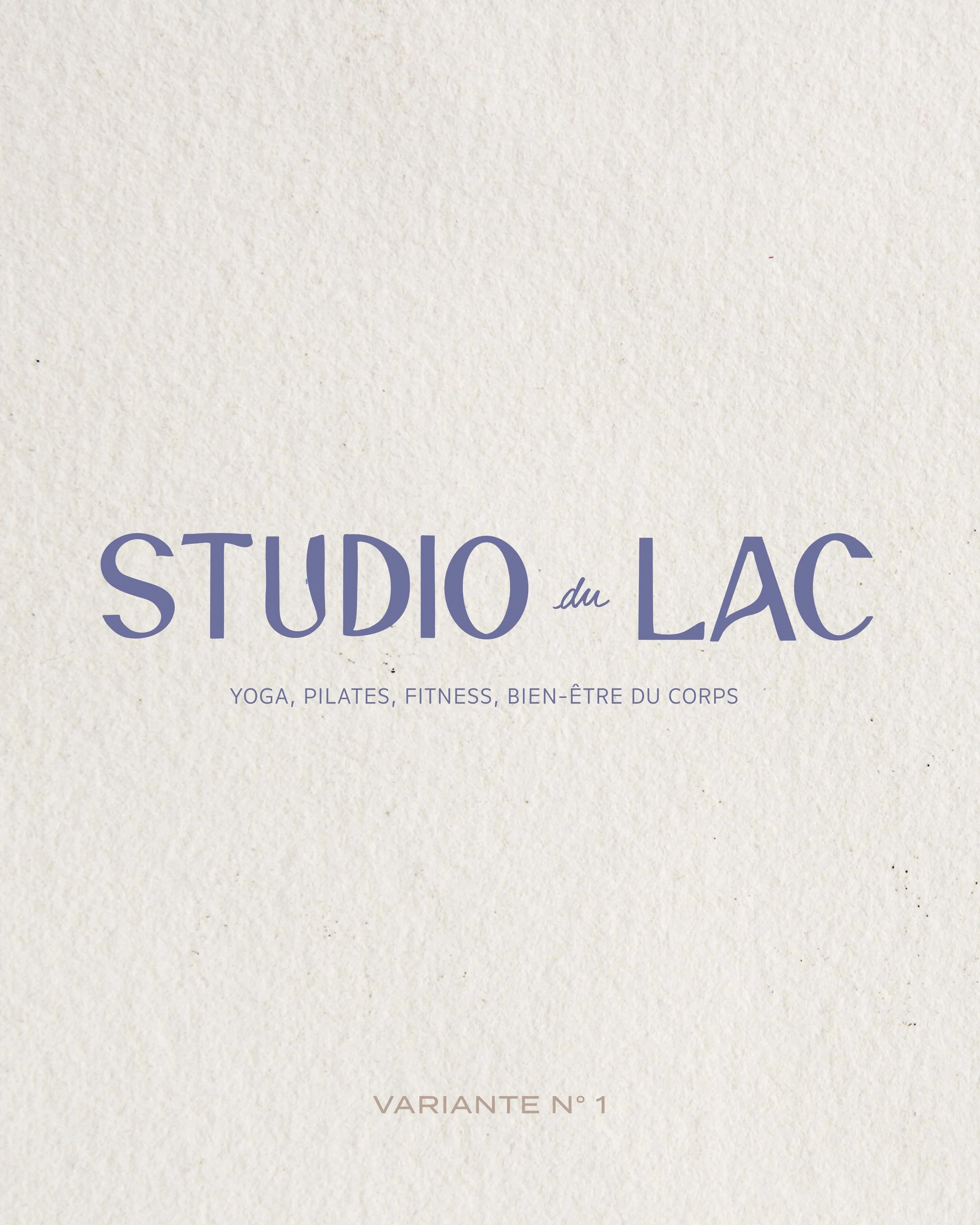 Studio Lac post 2-13.jpg