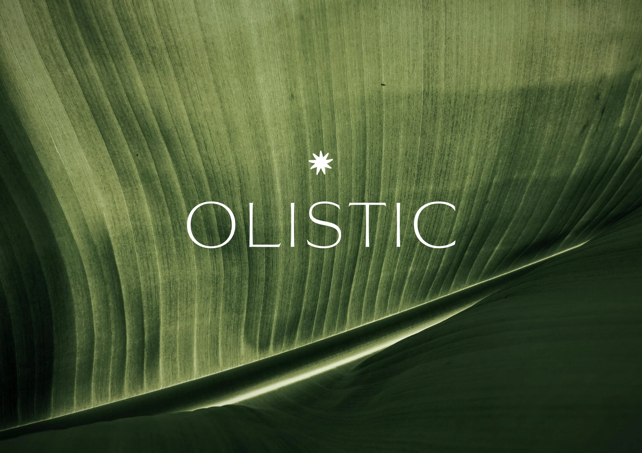 OLISTIC2.jpg