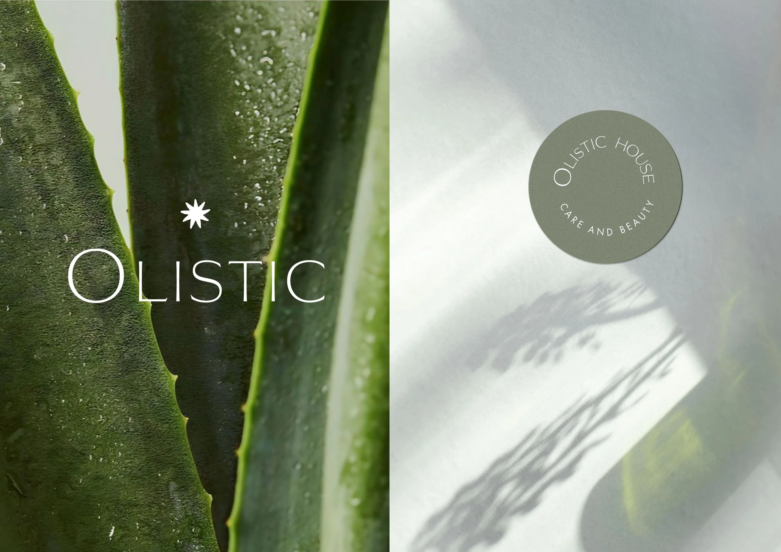 OLISTIC15.jpg