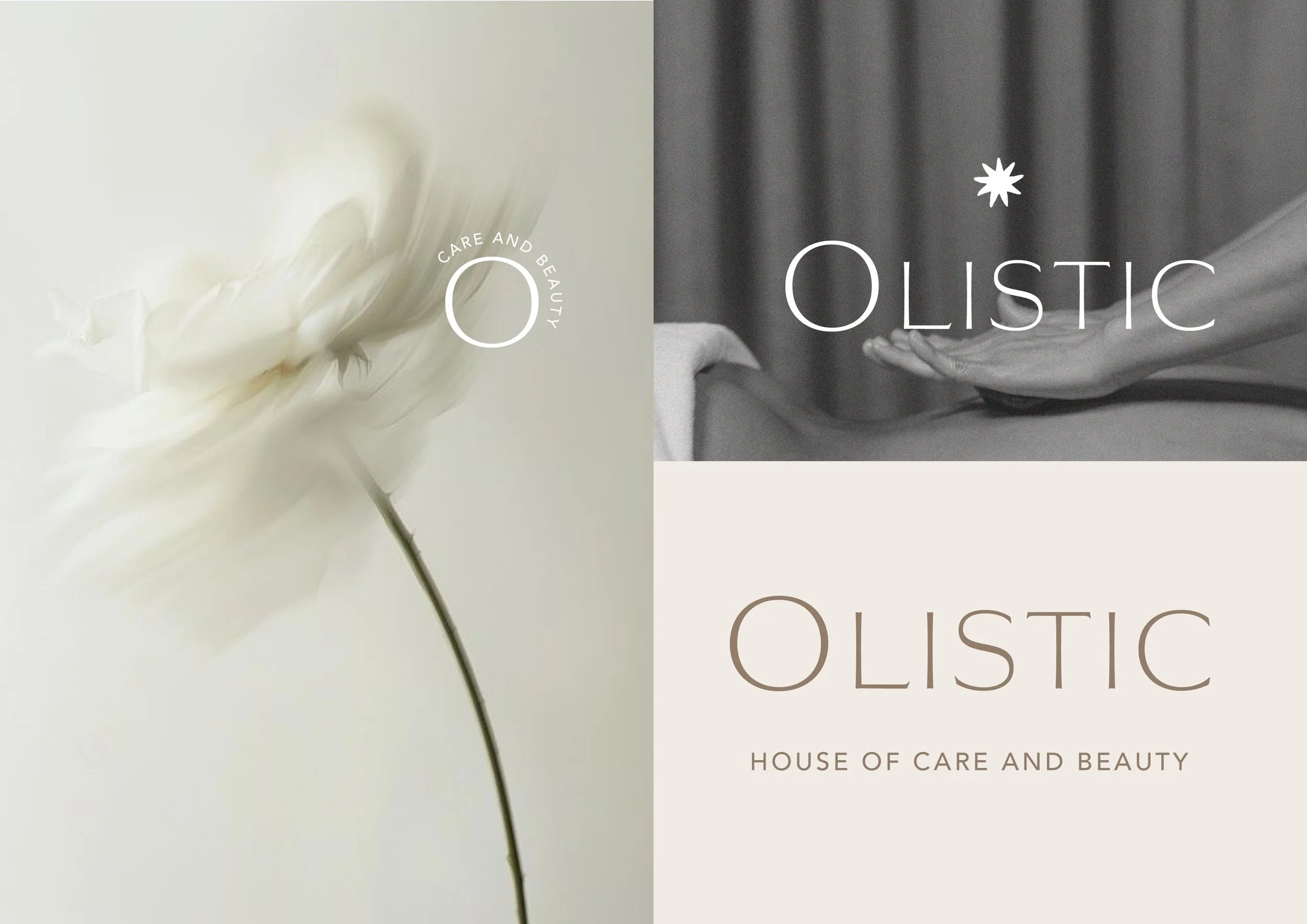 OLISTIC11.jpg