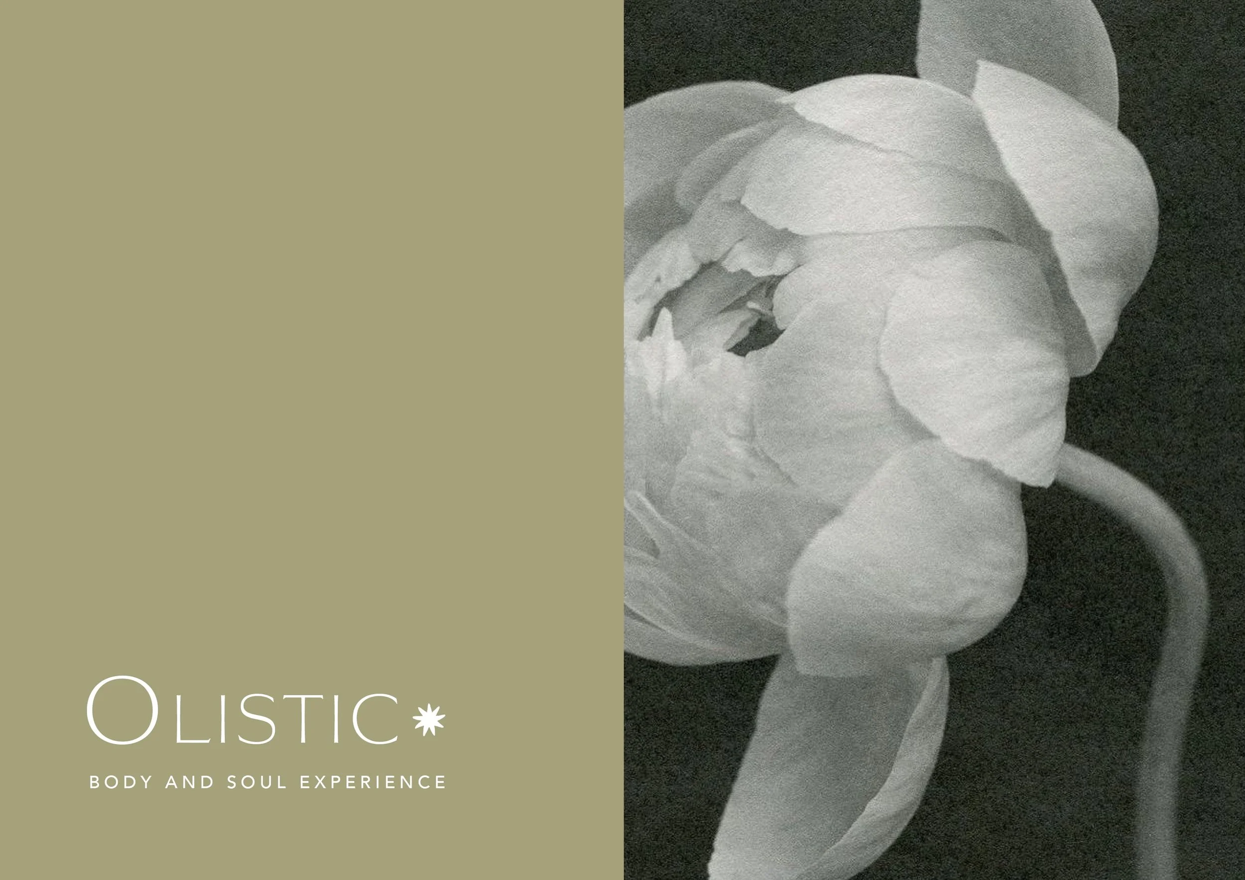 OLISTIC10.jpg