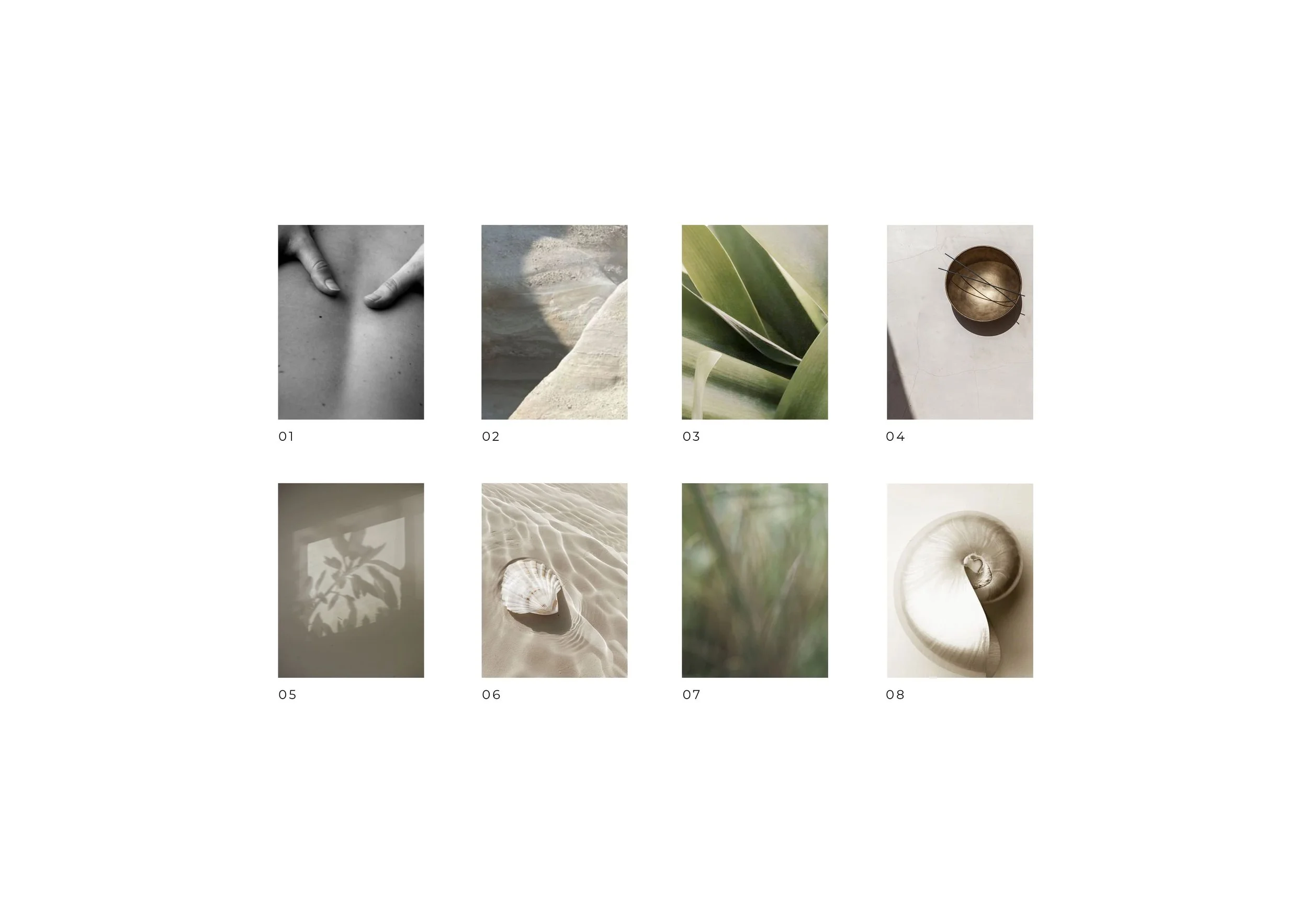 OLISTIC3.jpg