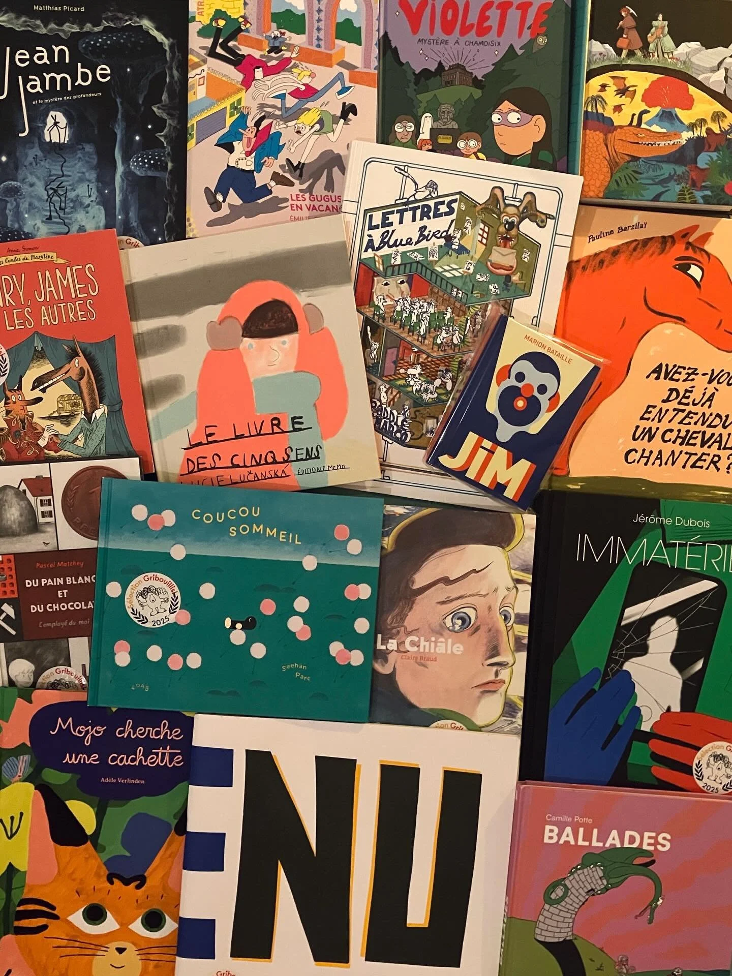 🎁 Vous cherchez toujours des cadeaux ?
Retour sur nos 20 livres pr&eacute;f&eacute;r&eacute;s, ador&eacute;s par nos super libraires&hellip; la s&eacute;lection Gribouillis 2025 !

📚S&Eacute;LECTION BANDE DESSIN&Eacute;E 

Claire Braud, La Chi&acir