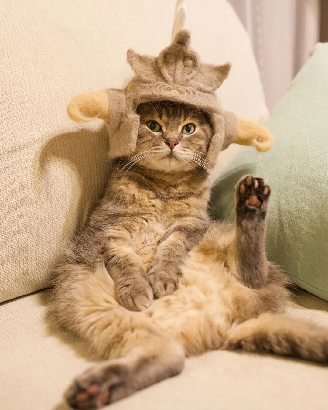 Cats in hats - 2.jpg