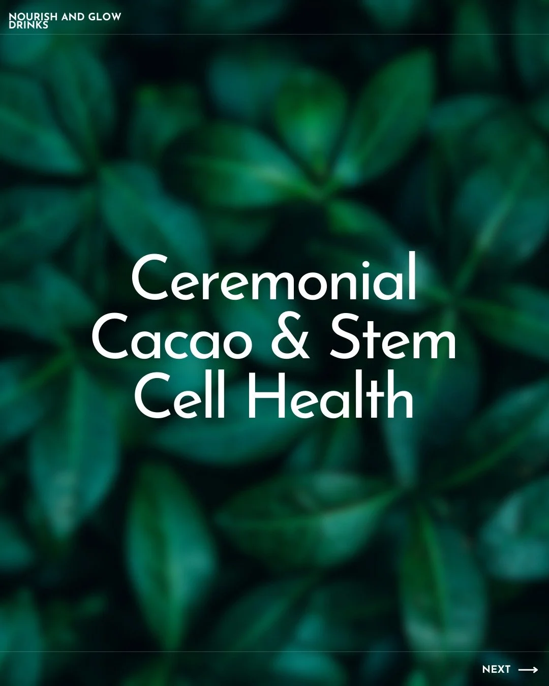 ✨ Ceremonial Cacao &amp; Stem Cell Regeneration ✨

When you sip ceremonial cacao, you&rsquo;re not just enjoying a delicious drink&mdash;you&rsquo;re fueling your body at the cellular level. 

Rich in antioxidants, cacao helps protect your cells from