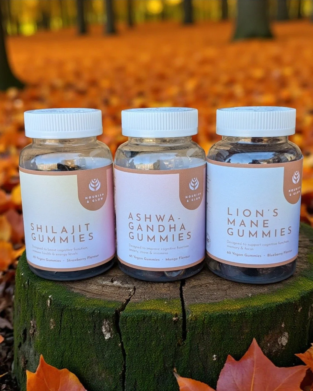 Adaptogens, on the go?

Say hello to our new range of gummies &mdash; powered by Lion&rsquo;s Mane, Shilajit, and Ashwagandha &mdash; made for busy minds, tired bodies, and everyday balance.

Whether you're navigating stress, brain fog, or just tryin
