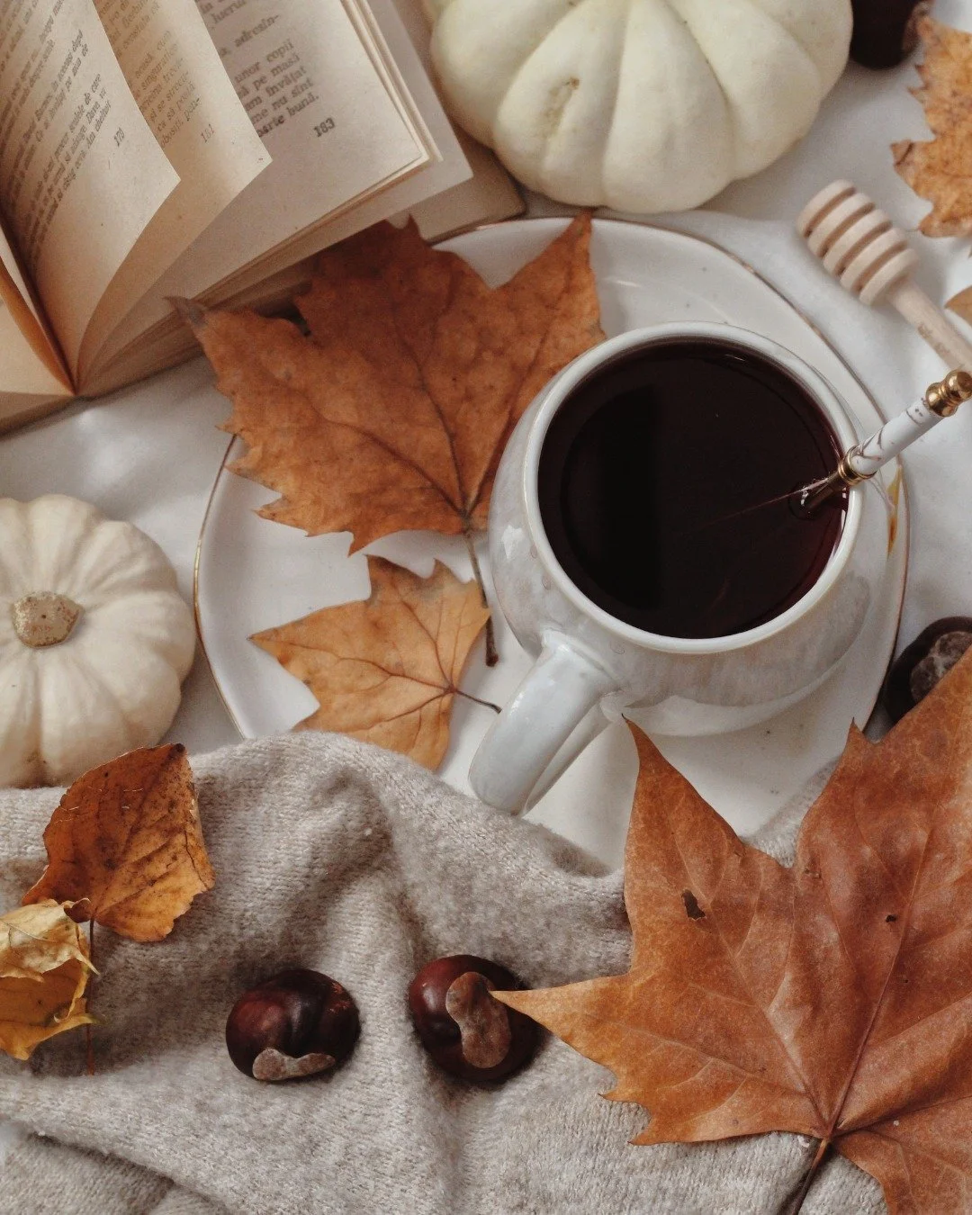 Morning ritual, upgraded...

Add a spoonful of lion&rsquo;s mane powder to your morning coffee and turn your daily brew into a brain-boosting ritual. 

Lion&rsquo;s mane is known for supporting focus, memory, and mental clarity, while also helping to