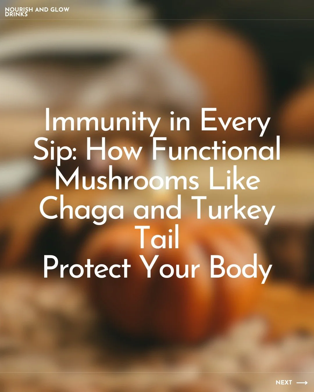 Your daily wellness ritual just got a little more magical. 

Chaga and Turkey Tail have supported wellbeing for centuries, and today they remain two of the most loved functional mushrooms for helping the body stay balanced, nourished, and resilient.
