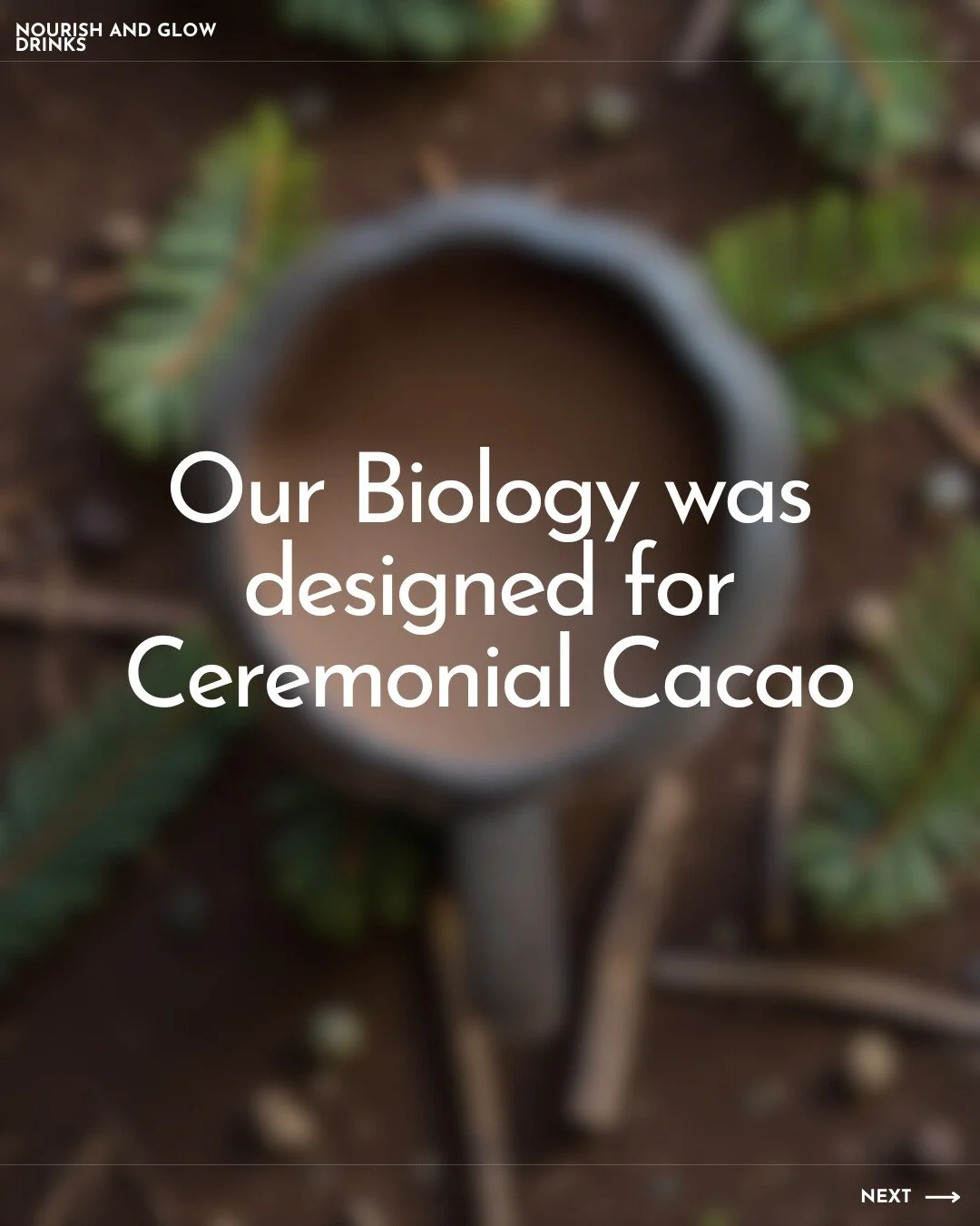 Ceremonial cacao isn&rsquo;t just a drink &mdash; it&rsquo;s a partnership with your own biology.
Nature crafted this plant in a way that speaks directly to our hearts, our nervous systems, and our emotional landscape.

From boosting our natural &ldq