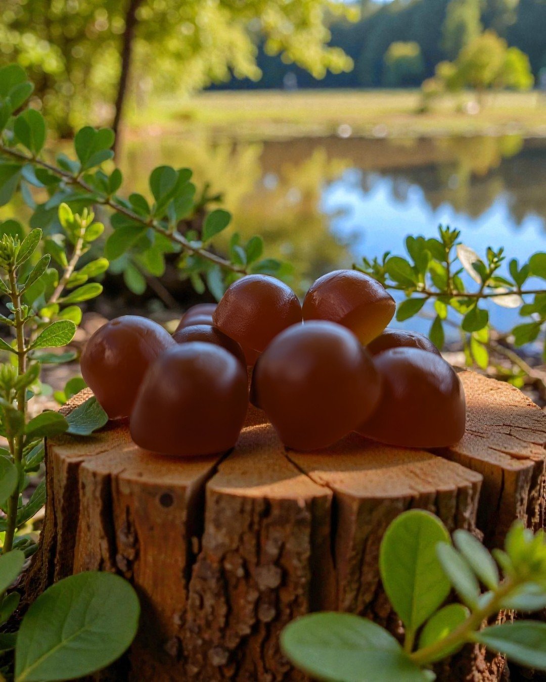 Glow smarter....
Functional mushrooms just got a sweet upgrade. Our gummies are crafted to fit effortlessly into your daily ritual&mdash;supporting calm, clarity, and overall vitality.

Here at Nourish and Glow Drinks, we blend tradition + modern wel