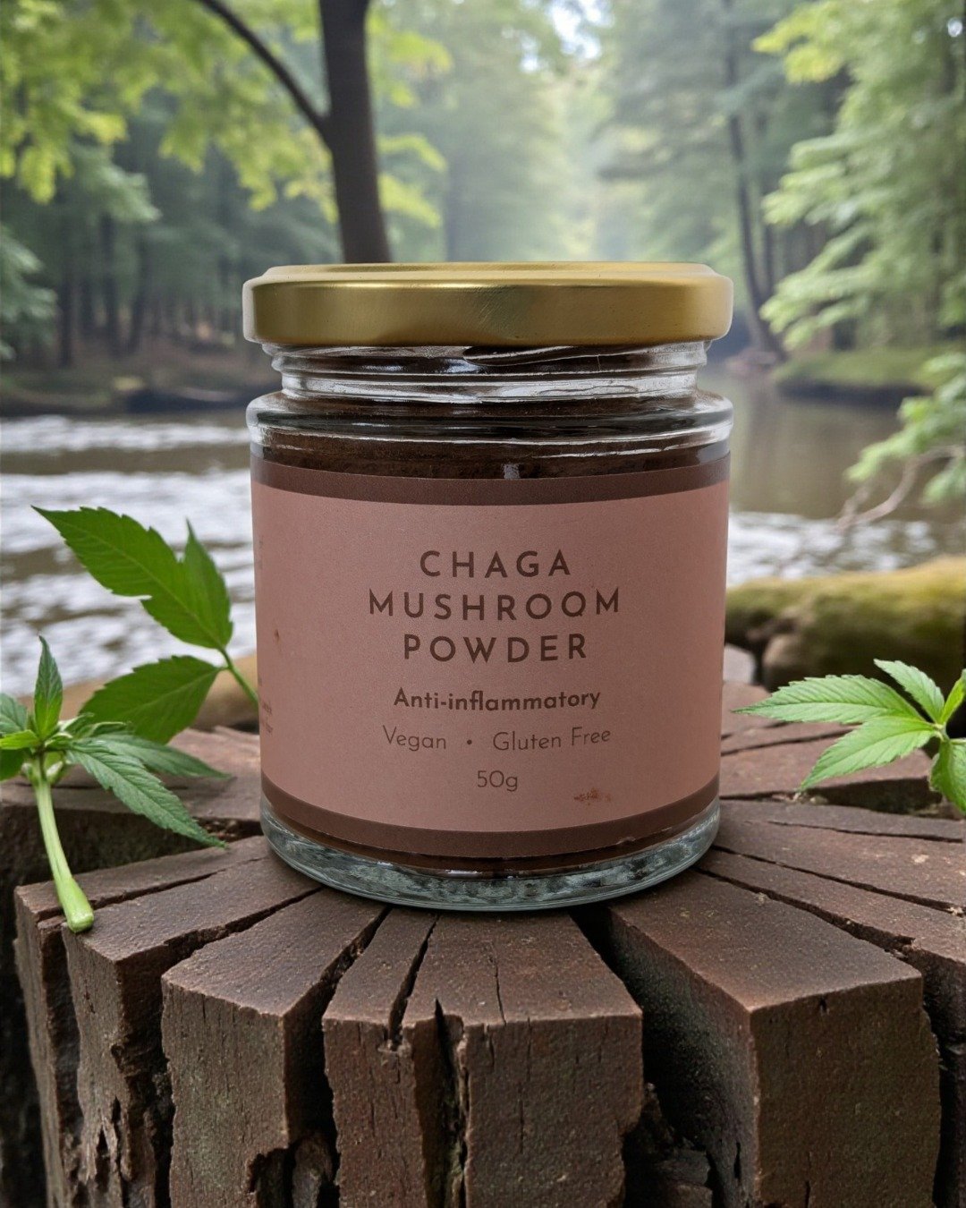 Winter wellness, rooted in nature ❄️🍄
Chaga mushroom powder is a cold-season favorite&mdash;traditionally used to support the body during darker, slower months. Rich in antioxidants and known for its grounding, warming nature, Chaga is often enjoyed