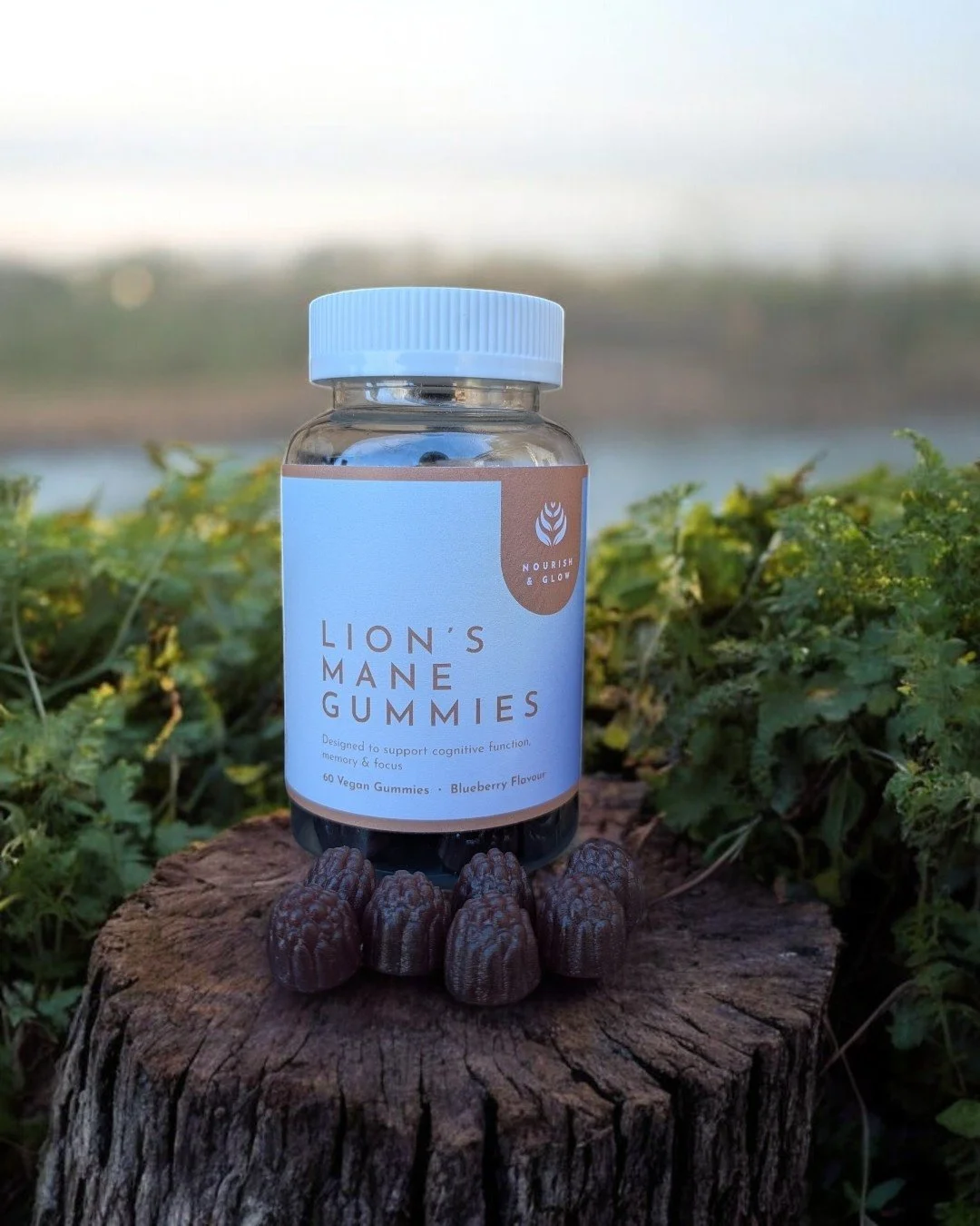Clearer thoughts start with better support.

Our Lion&rsquo;s Mane Gummies are designed to support cognitive function, memory, and focus, helping you feel a little sharper when your days feel full.

Lion&rsquo;s Mane is a functional mushroom traditio