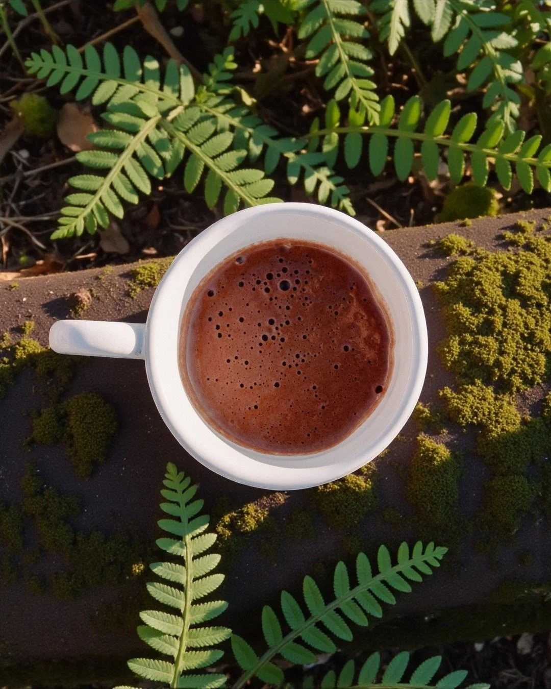 Monday morning magic ✨

Starting the week slow, intentional, and heart-open with ceremonial cacao There&rsquo;s something so powerful about sipping this sacred plant medicine and feeling it gently melt away the heaviness of winter.

#CeremonialCacao 